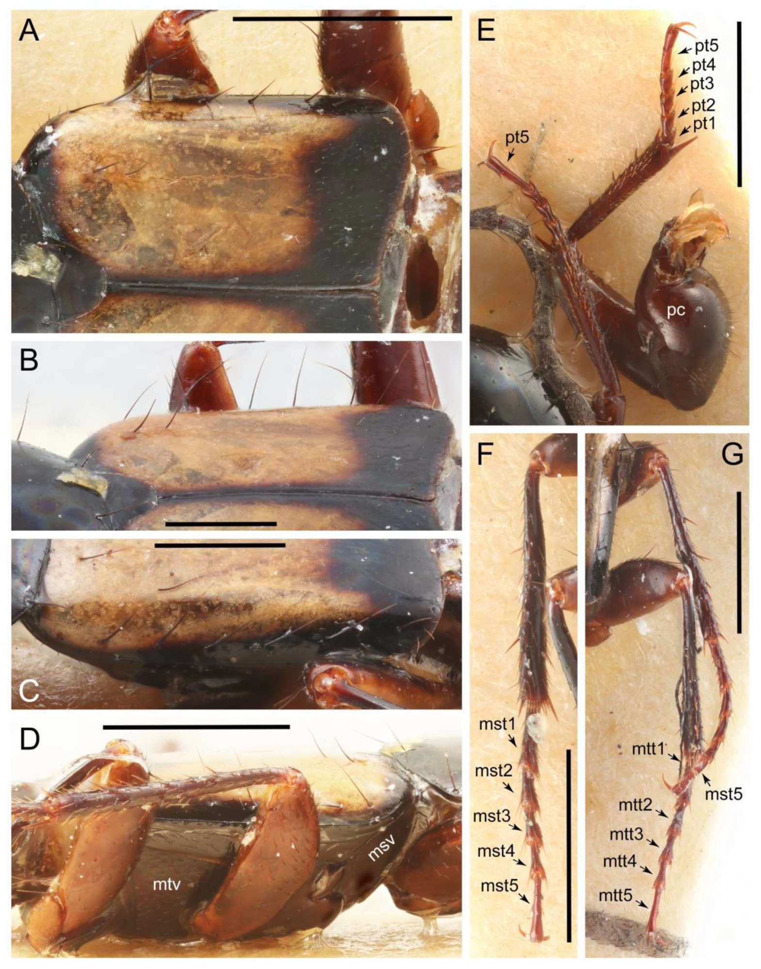 Biology 10 00323 g038 Biology 10 00323 g038