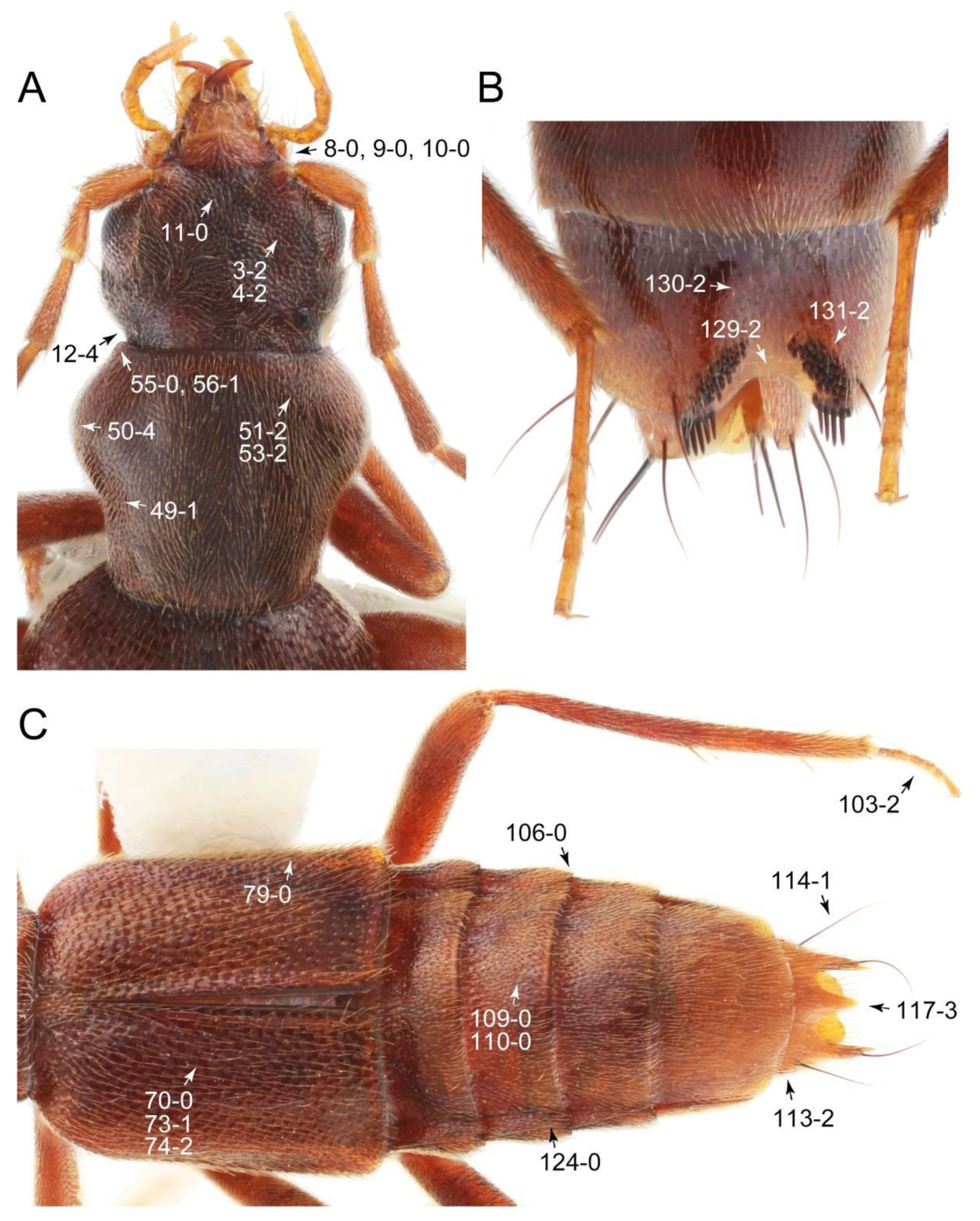 Biology 10 00323 g044 Biology 10 00323 g044