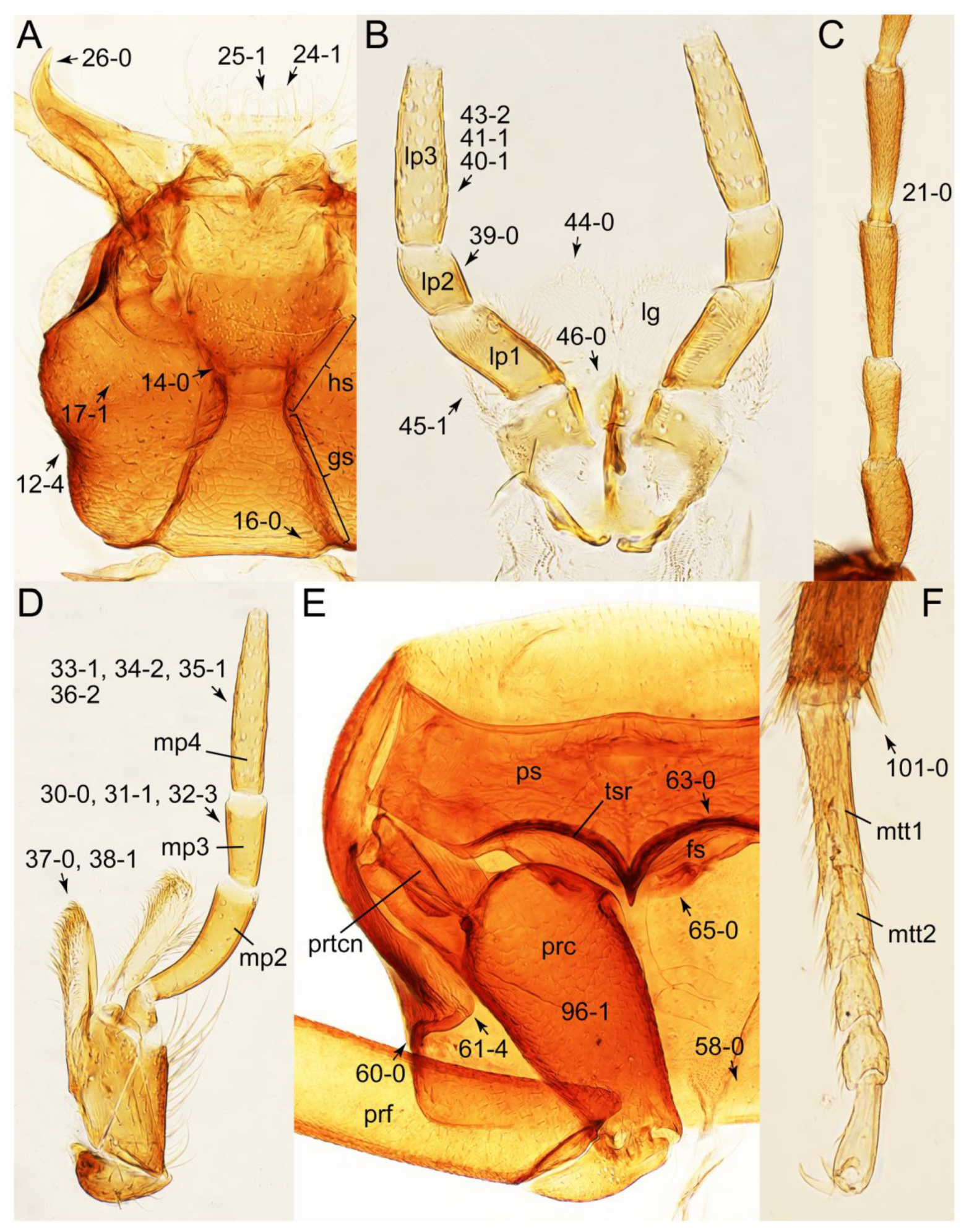 Biology 10 00323 g045 Biology 10 00323 g045