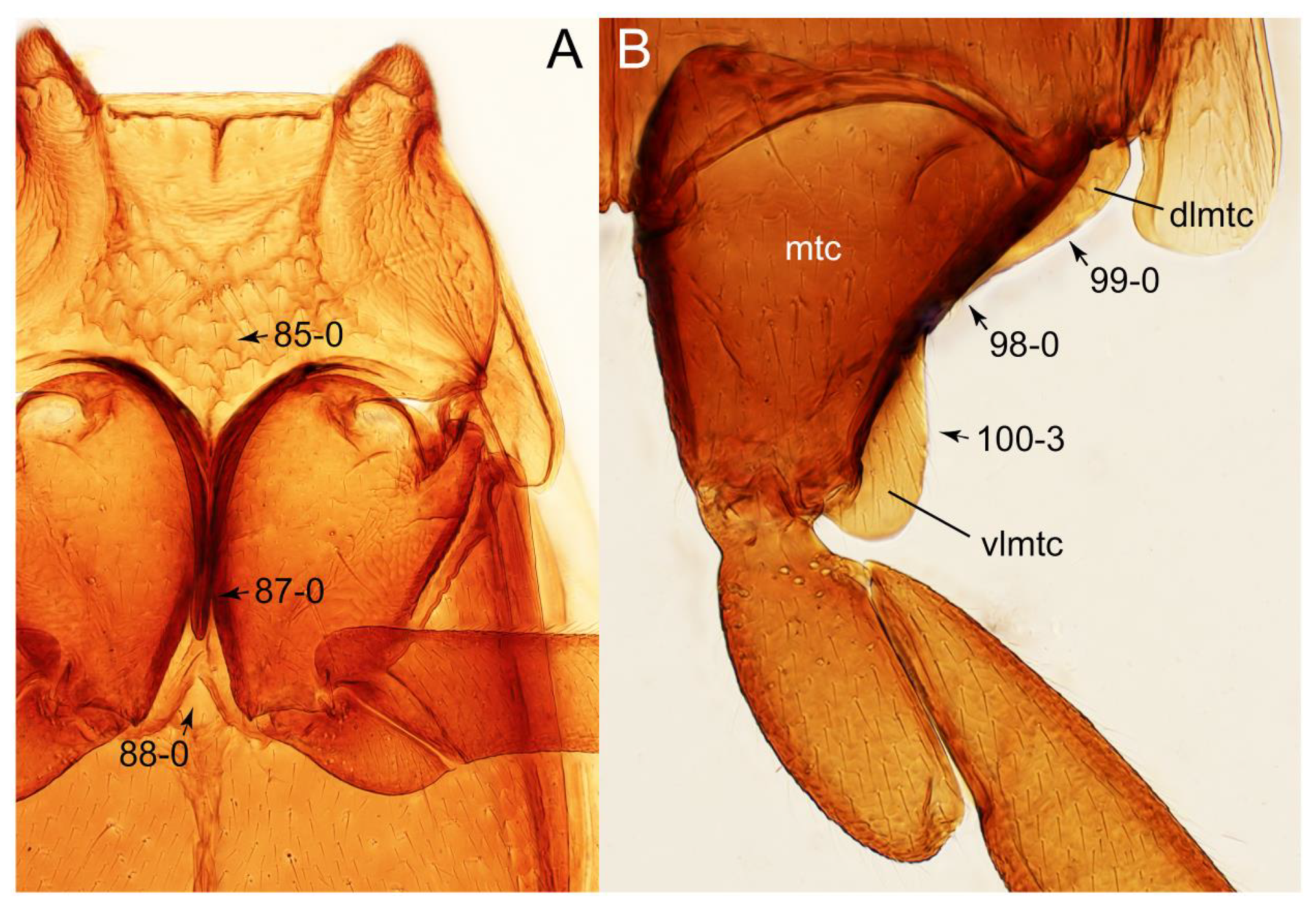 Biology 10 00323 g046 Biology 10 00323 g046