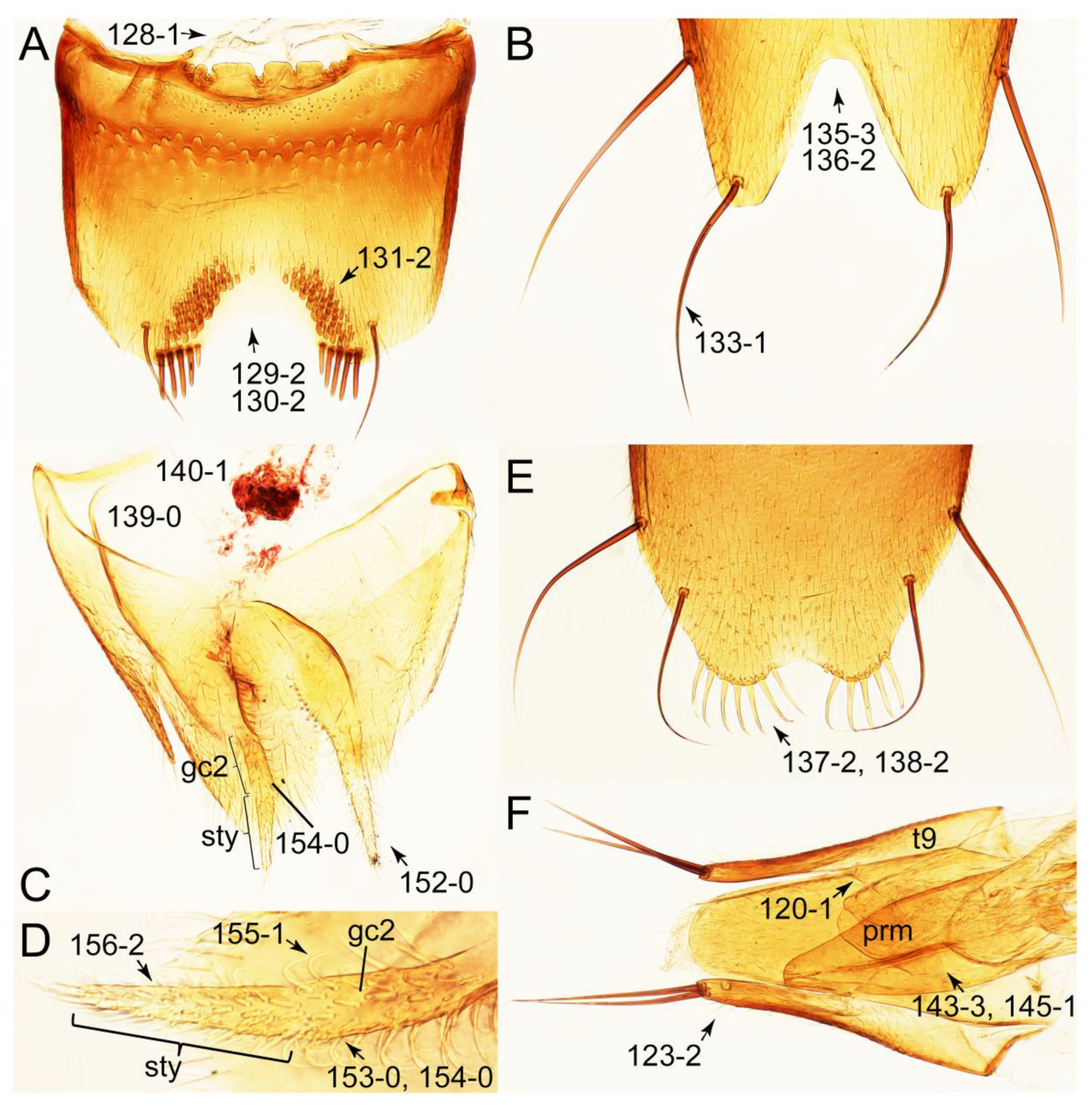 Biology 10 00323 g047 Biology 10 00323 g047