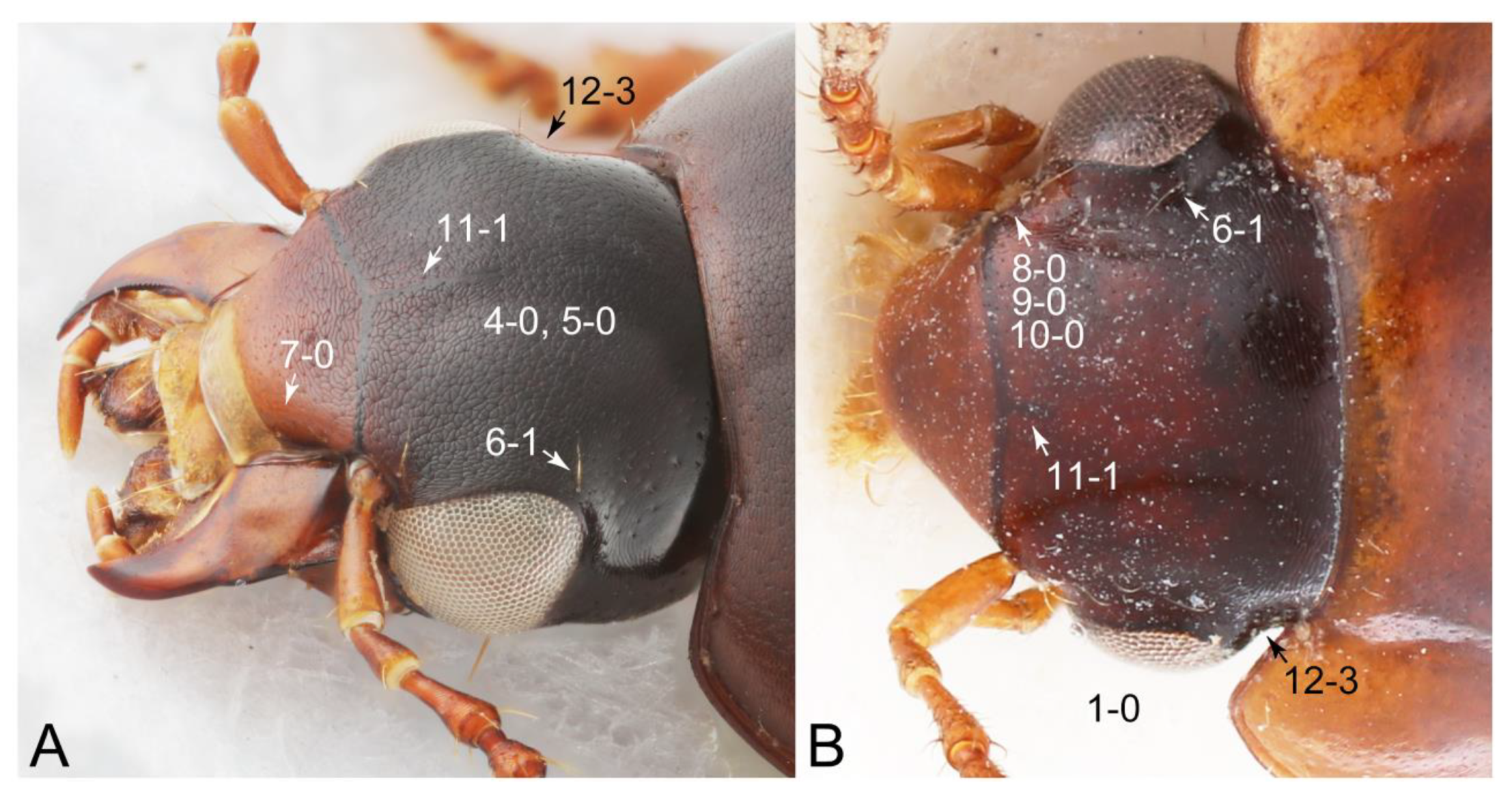 Biology 10 00323 g050 Biology 10 00323 g050