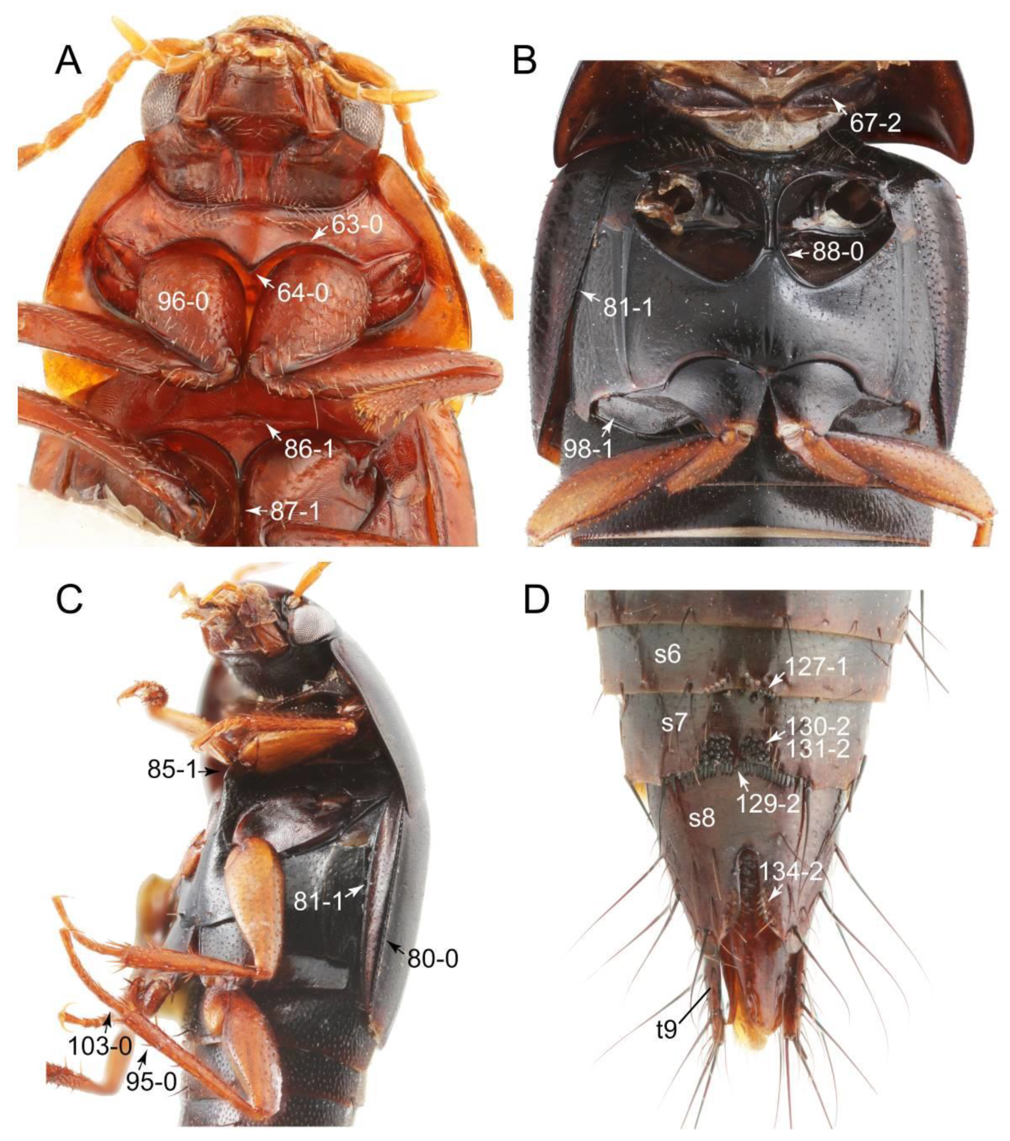 Biology 10 00323 g052 Biology 10 00323 g052