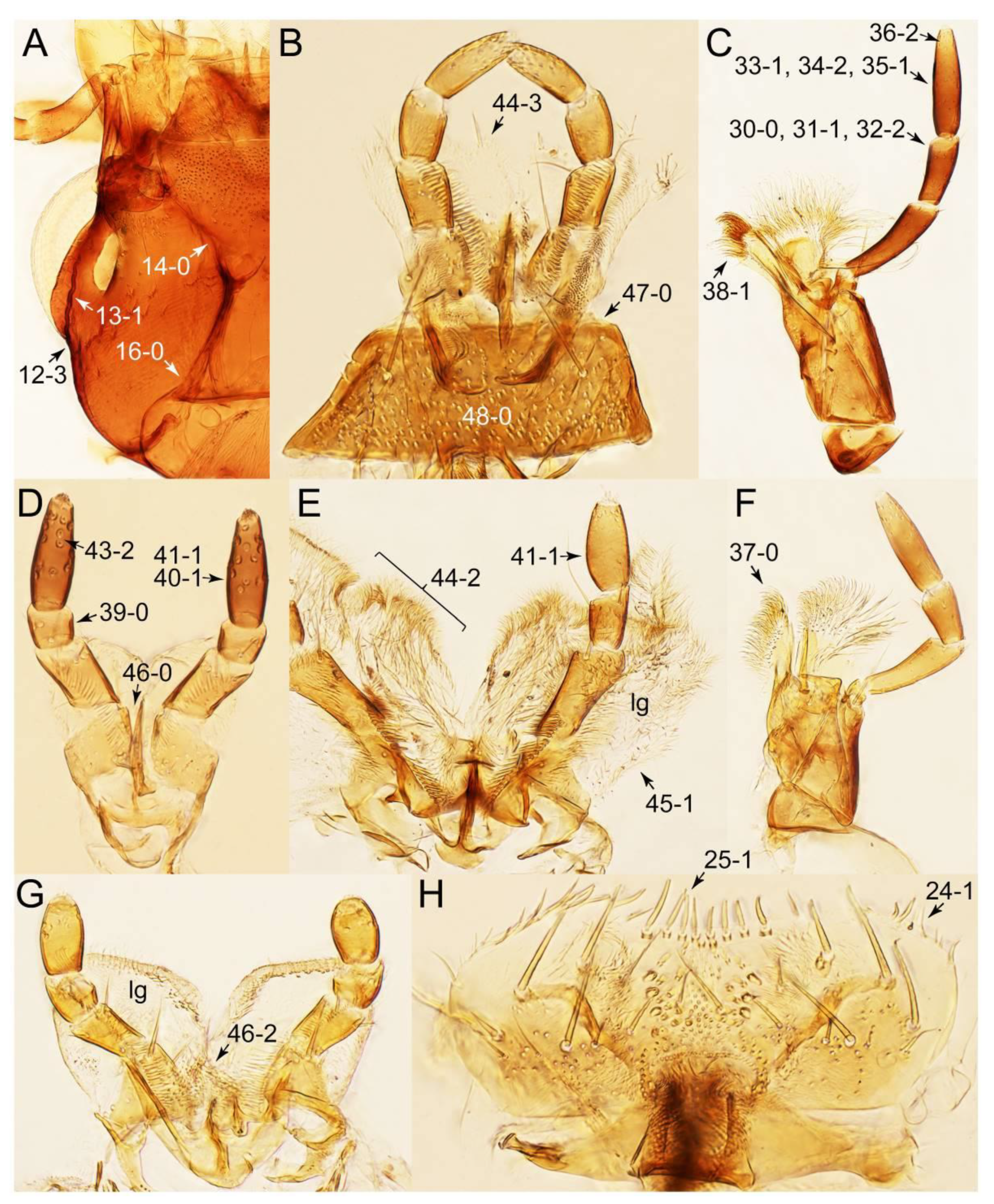 Biology 10 00323 g053 Biology 10 00323 g053