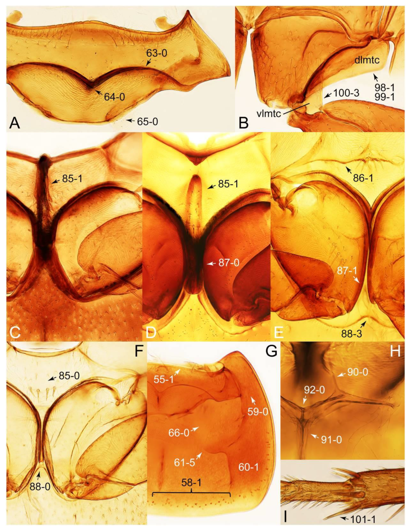 Biology 10 00323 g054 Biology 10 00323 g054