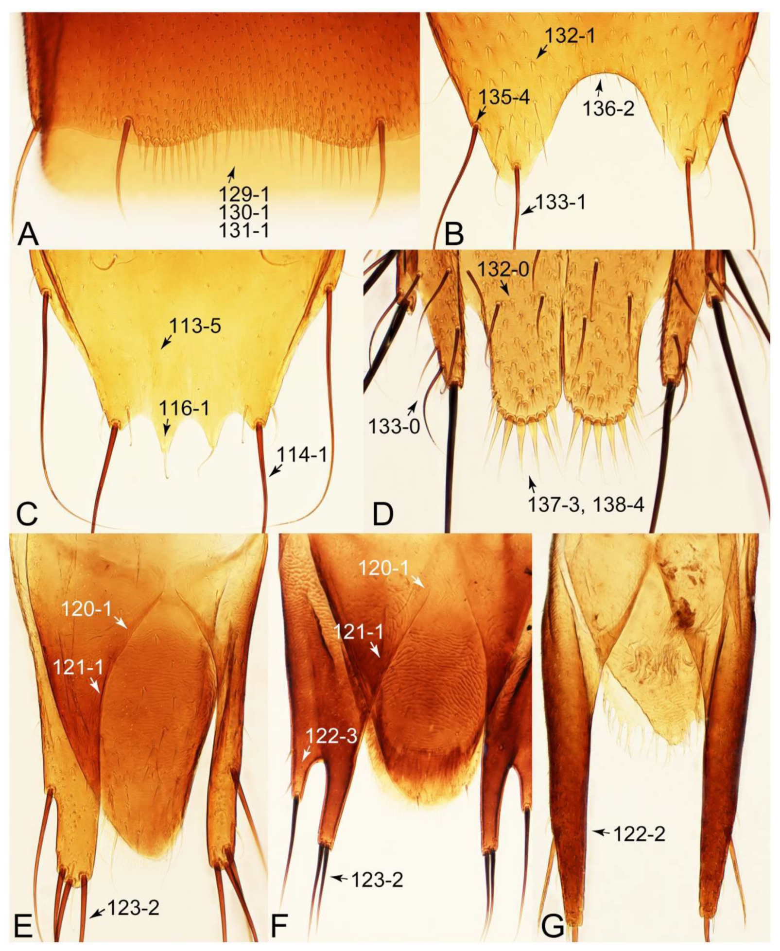 Biology 10 00323 g055 Biology 10 00323 g055