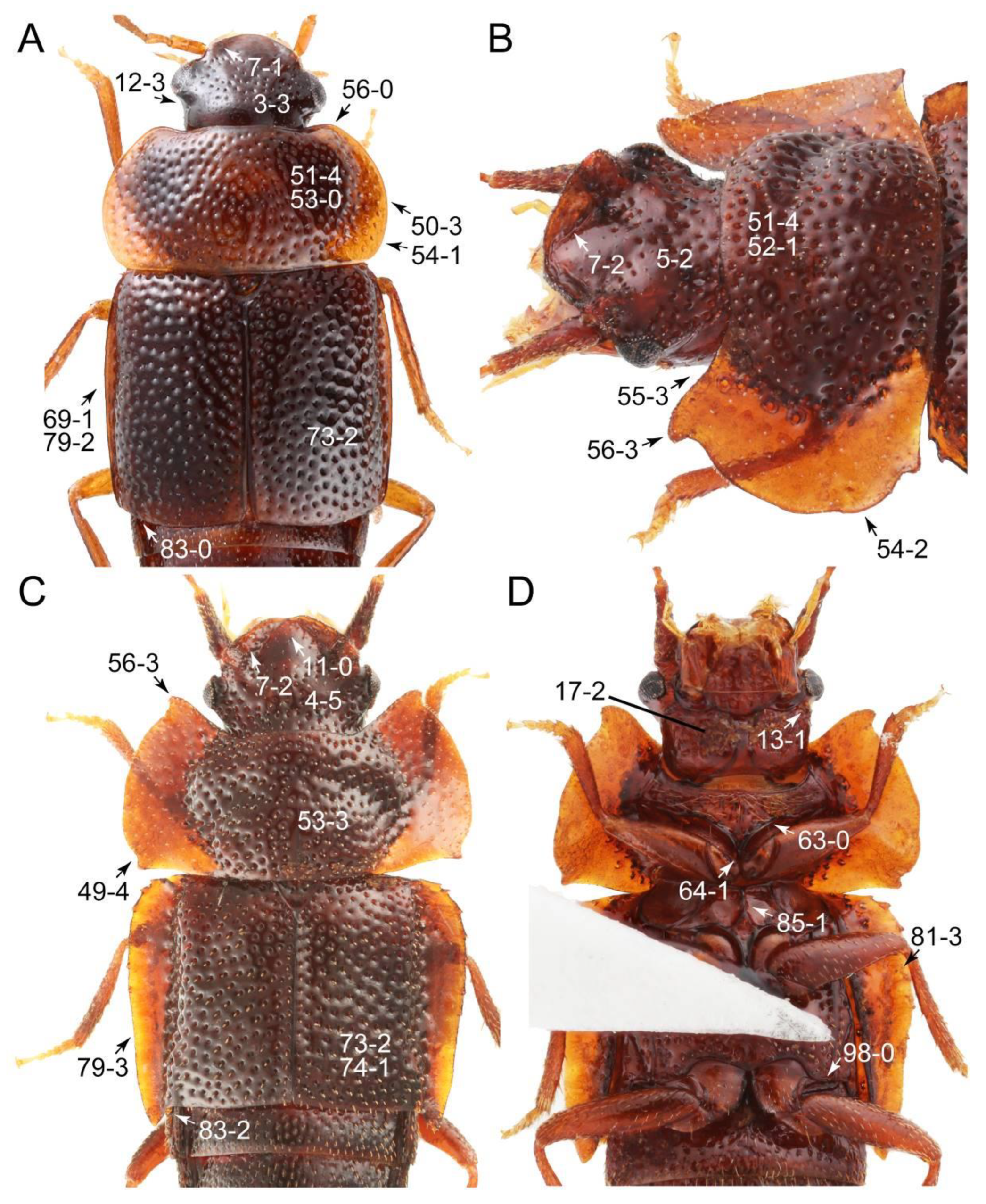 Biology 10 00323 g058 Biology 10 00323 g058