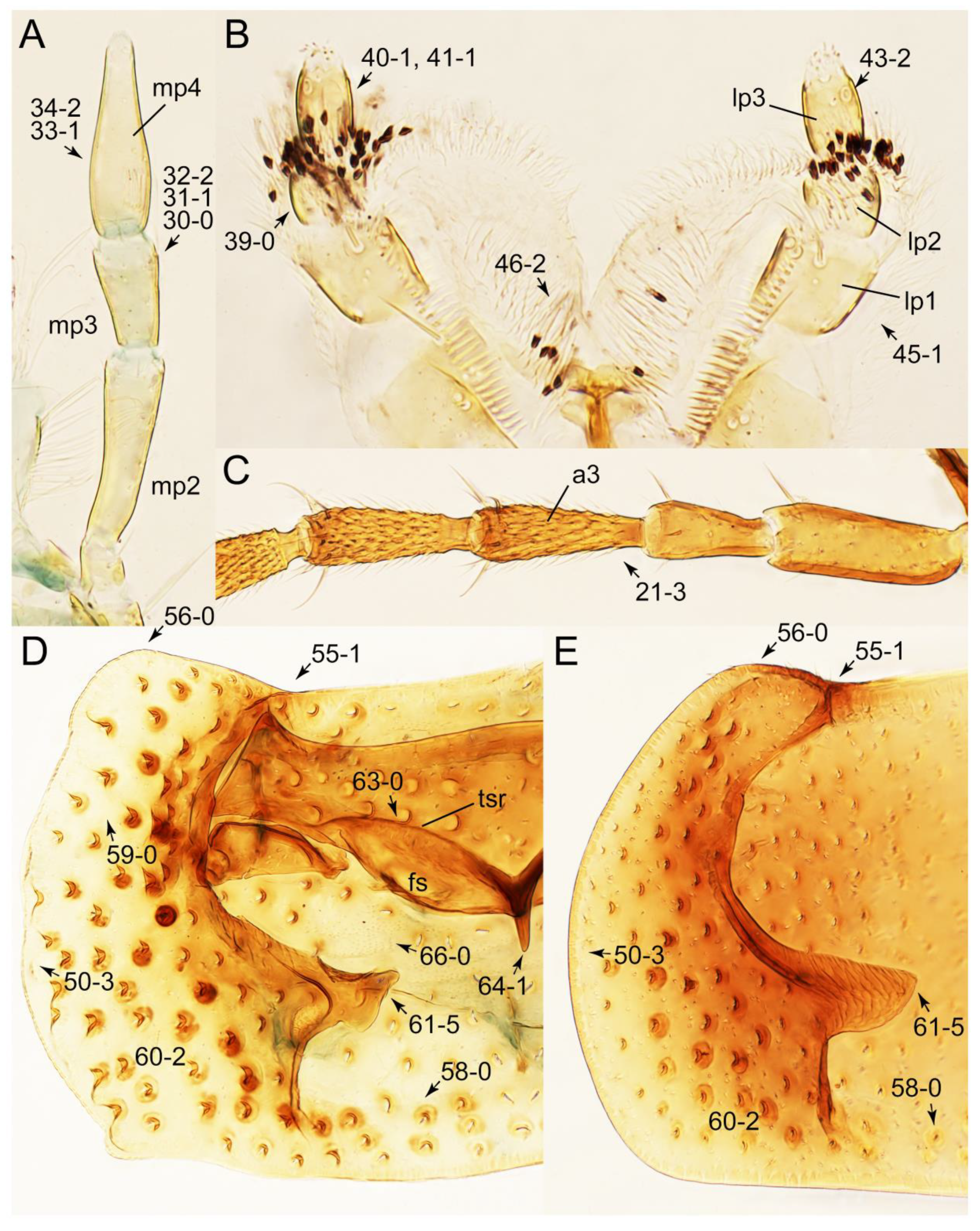 Biology 10 00323 g059 Biology 10 00323 g059