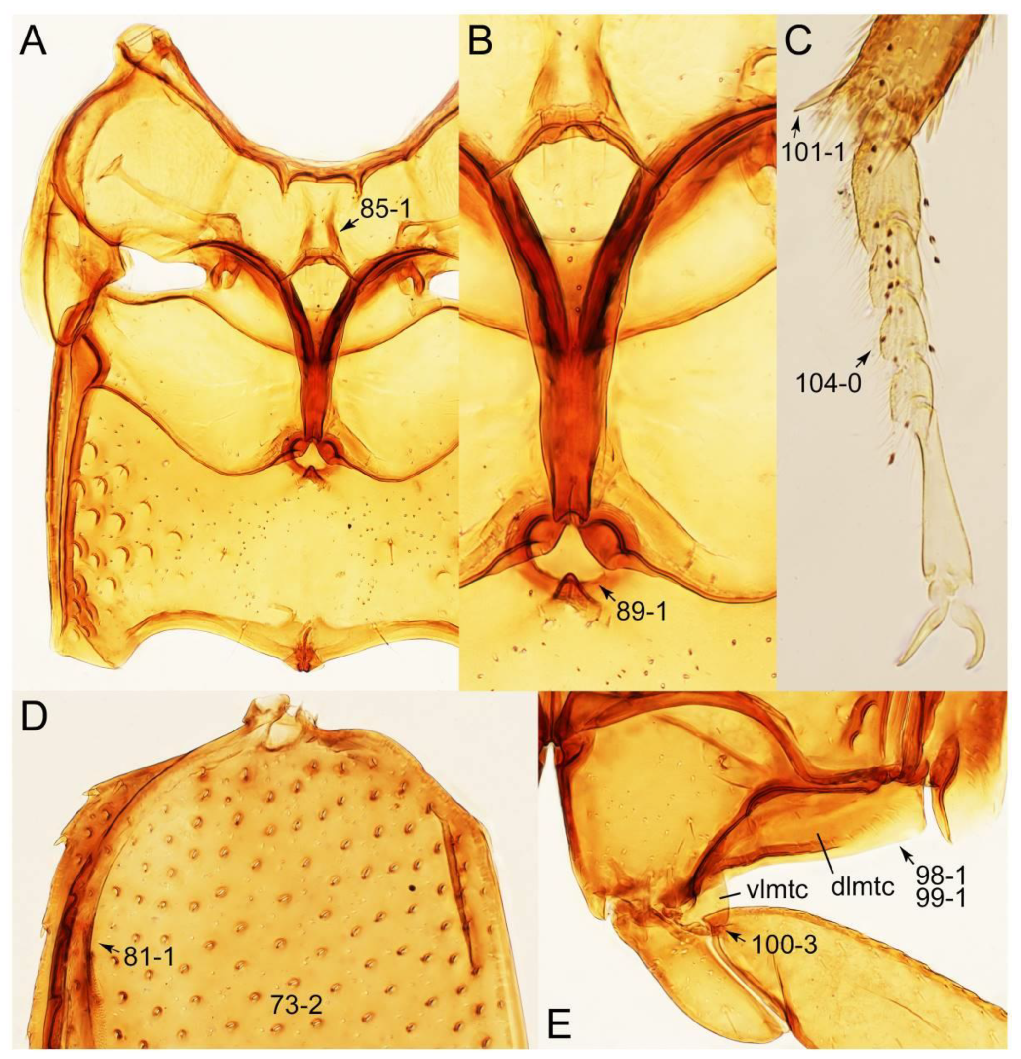 Biology 10 00323 g060 Biology 10 00323 g060