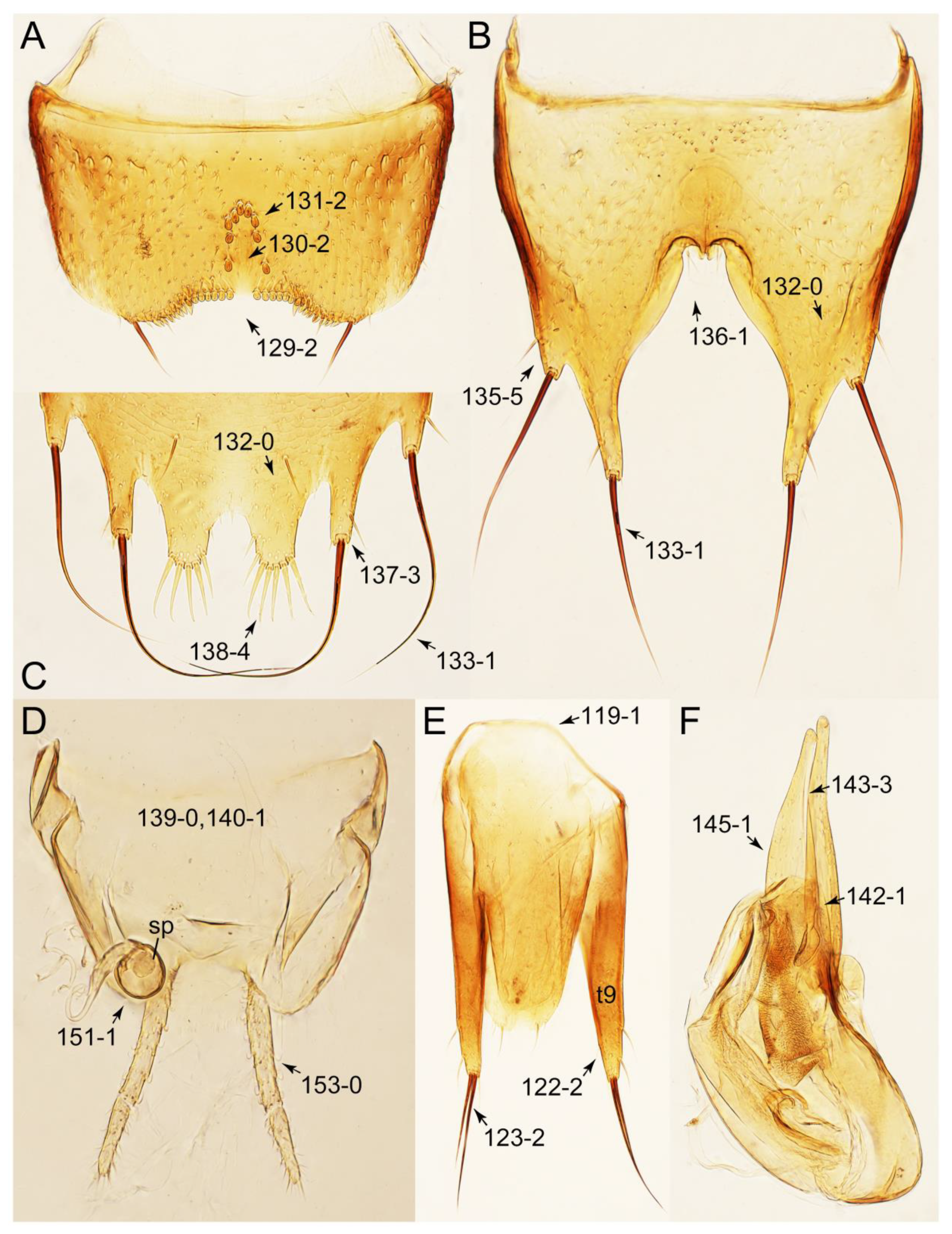 Biology 10 00323 g061 Biology 10 00323 g061