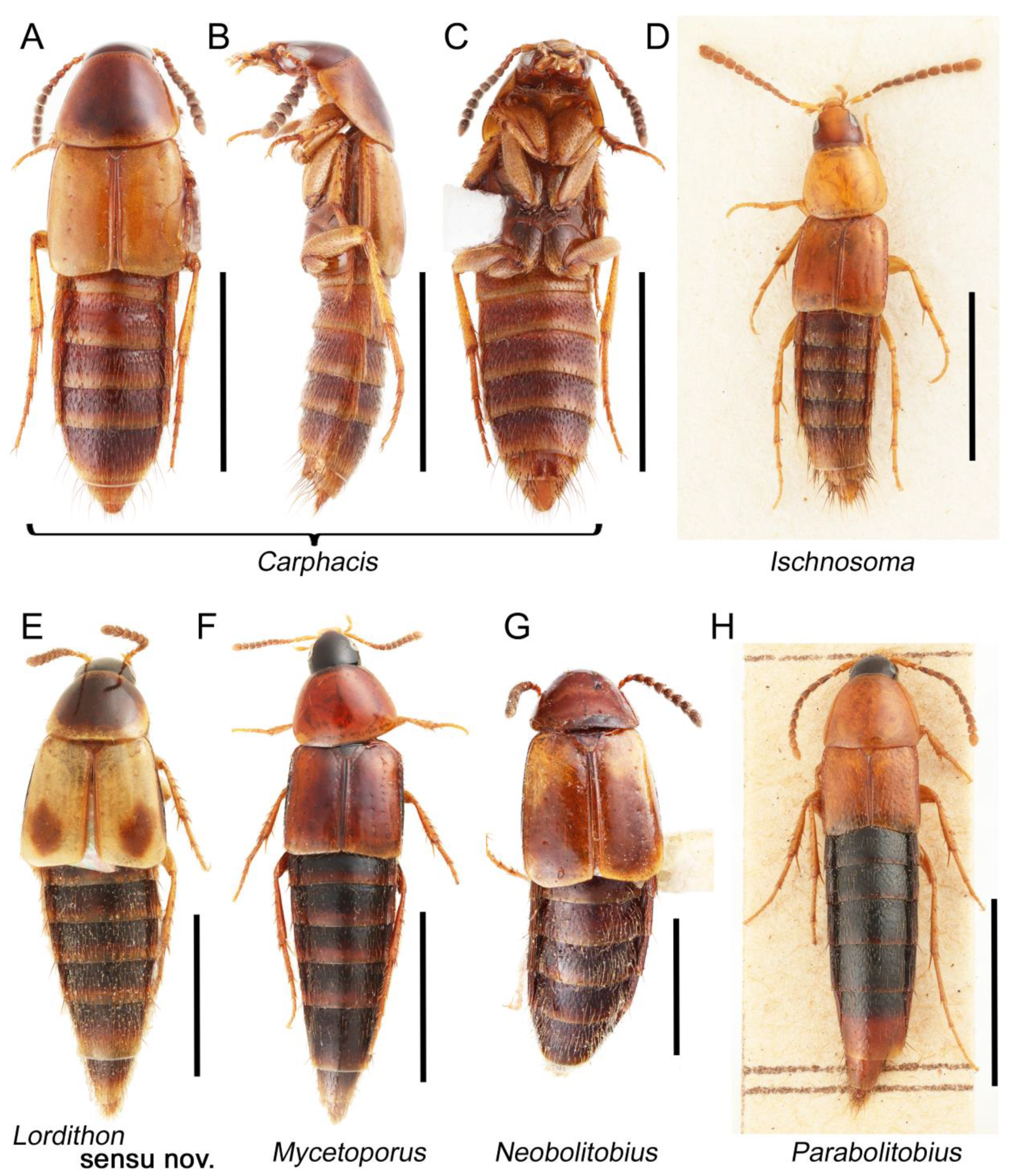 Biology 10 00323 g063 Biology 10 00323 g063