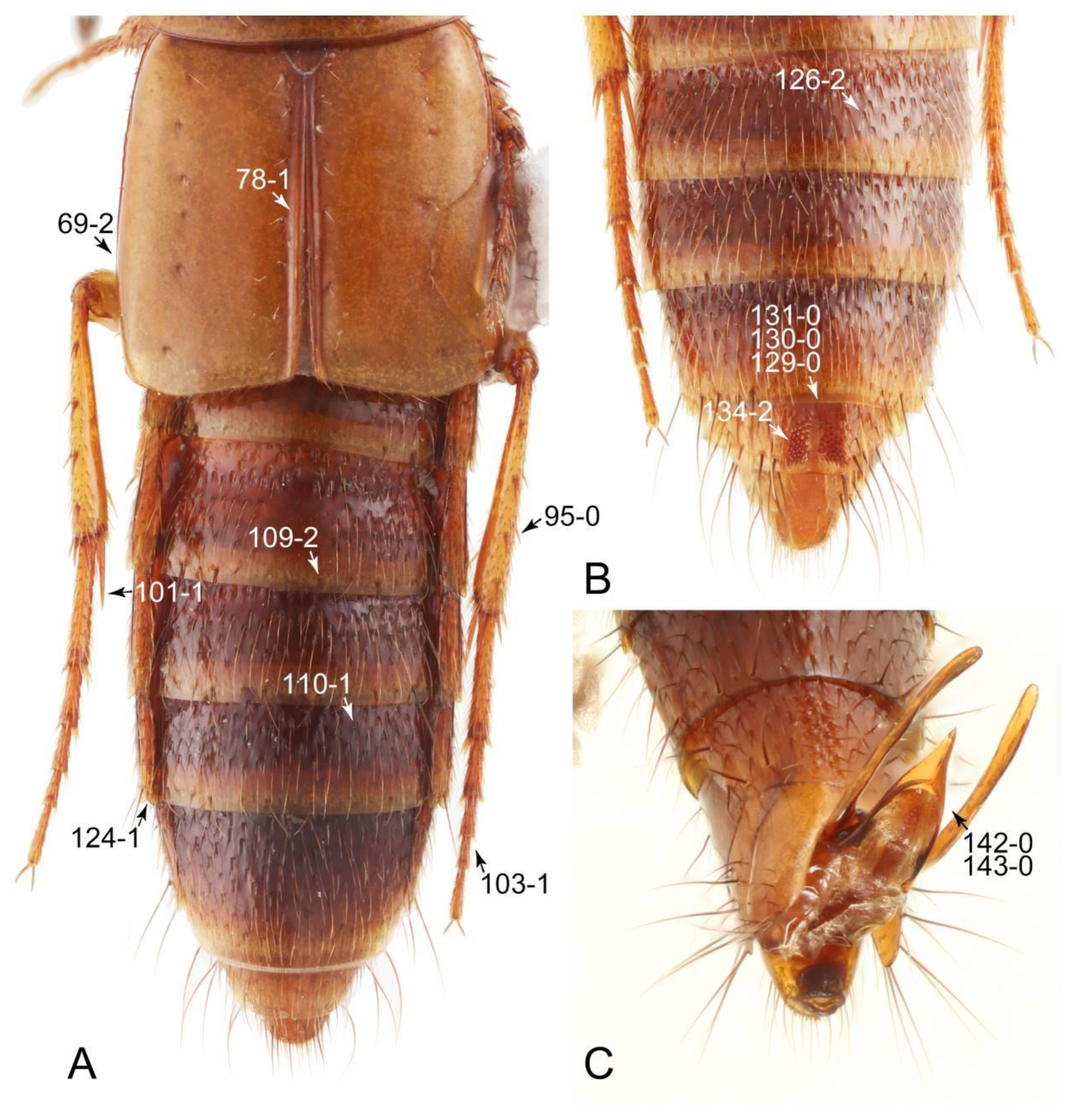 Biology 10 00323 g066 Biology 10 00323 g066