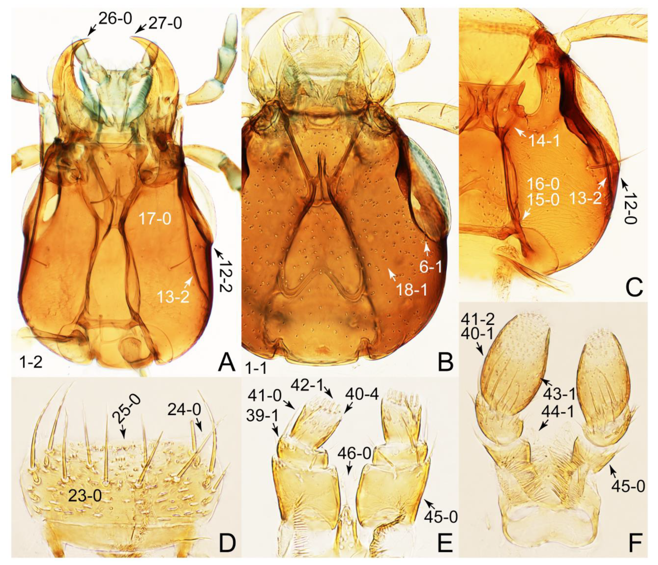 Biology 10 00323 g067 Biology 10 00323 g067