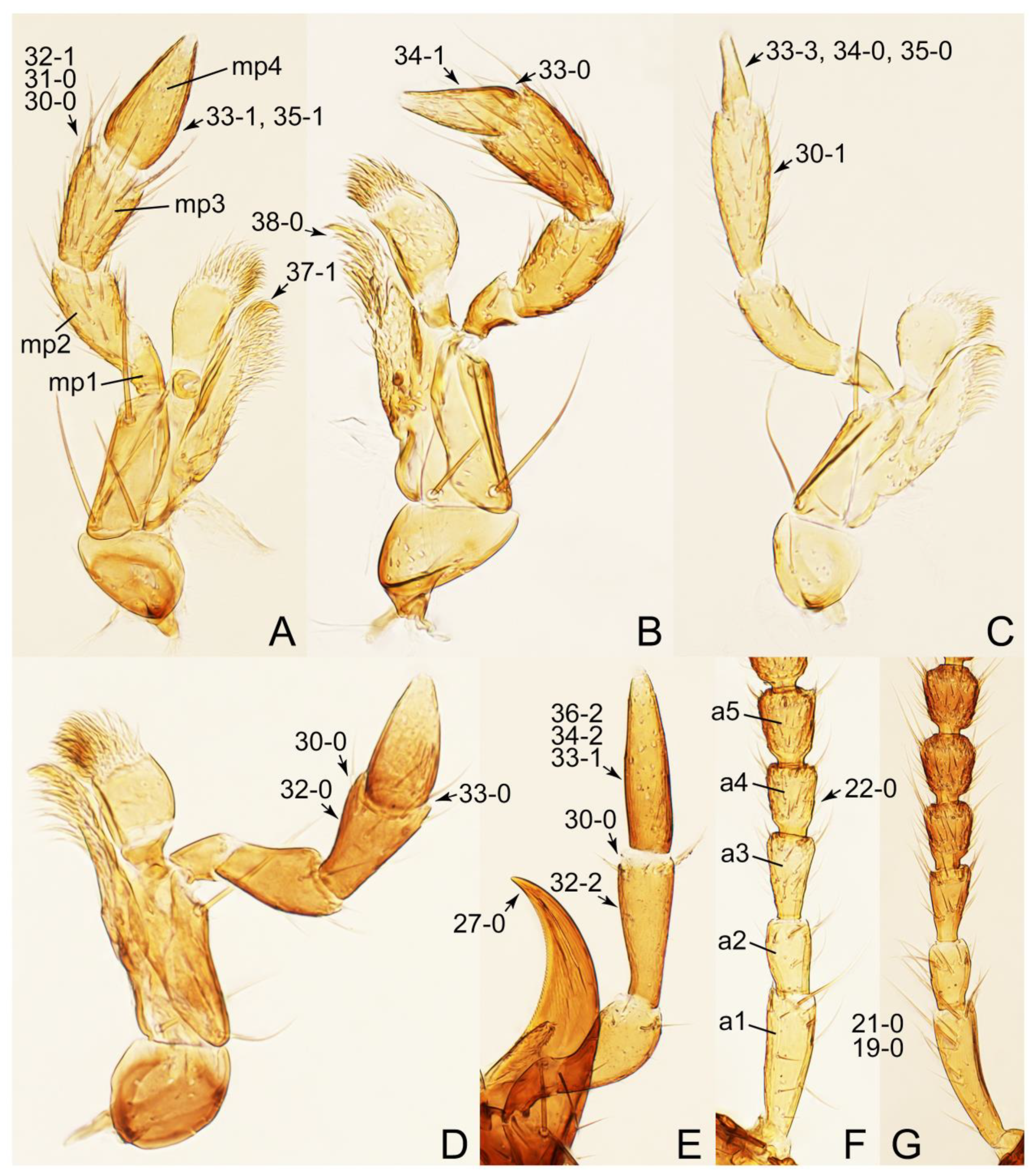 Biology 10 00323 g068 Biology 10 00323 g068
