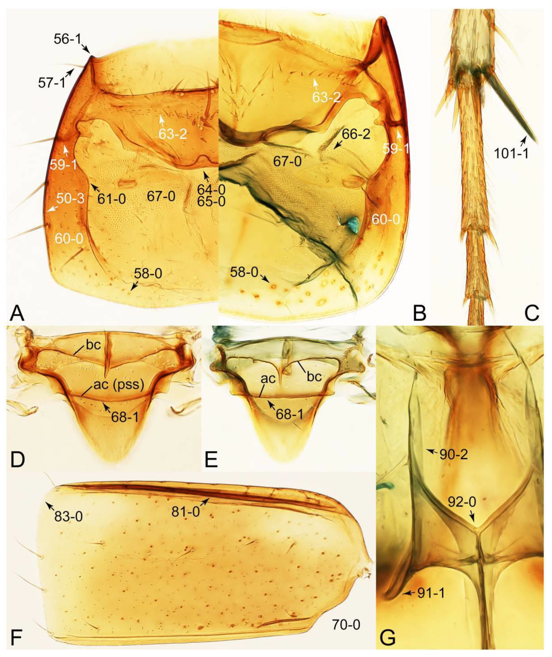 Biology 10 00323 g069 Biology 10 00323 g069