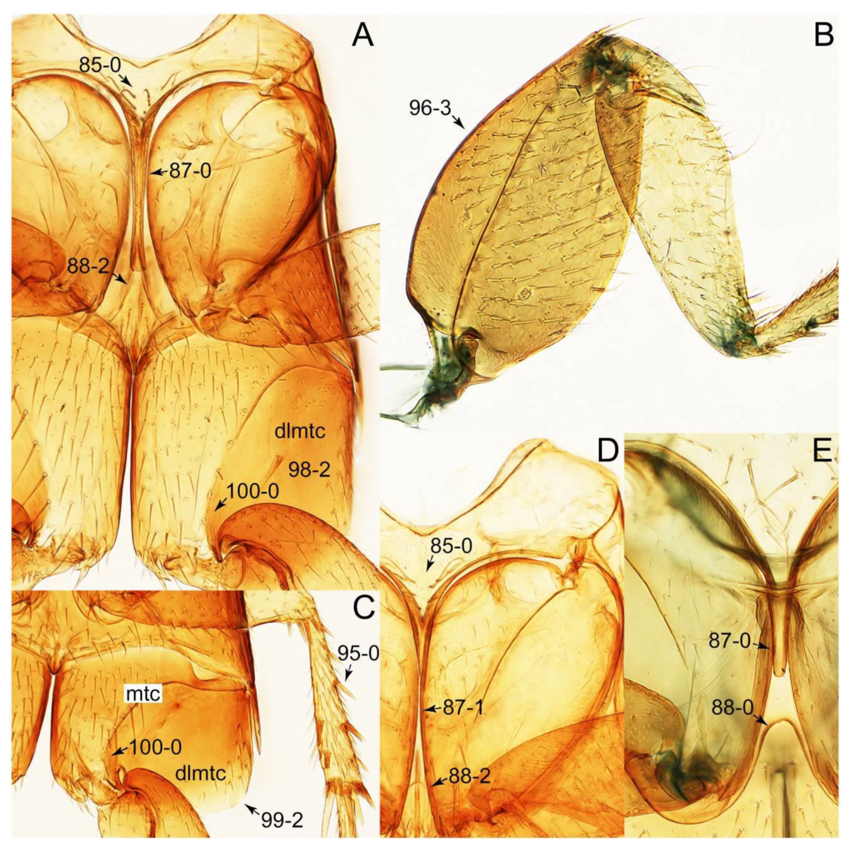Biology 10 00323 g070 Biology 10 00323 g070