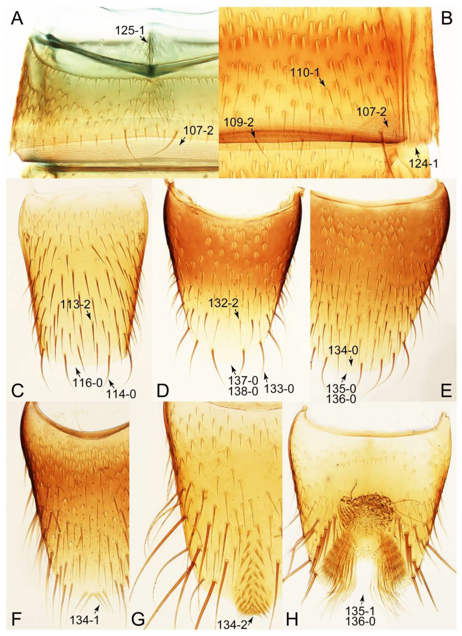 Biology 10 00323 g071 Biology 10 00323 g071