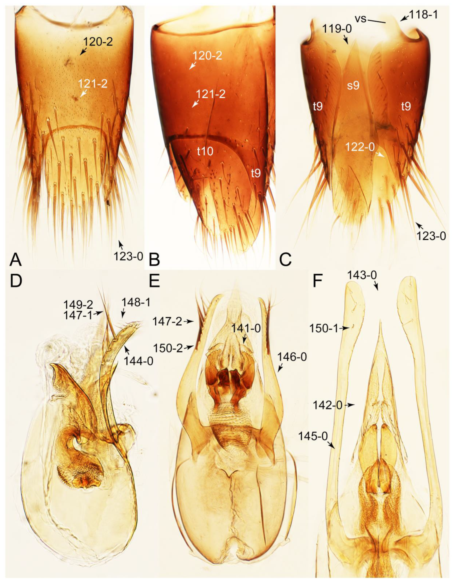 Biology 10 00323 g072 Biology 10 00323 g072