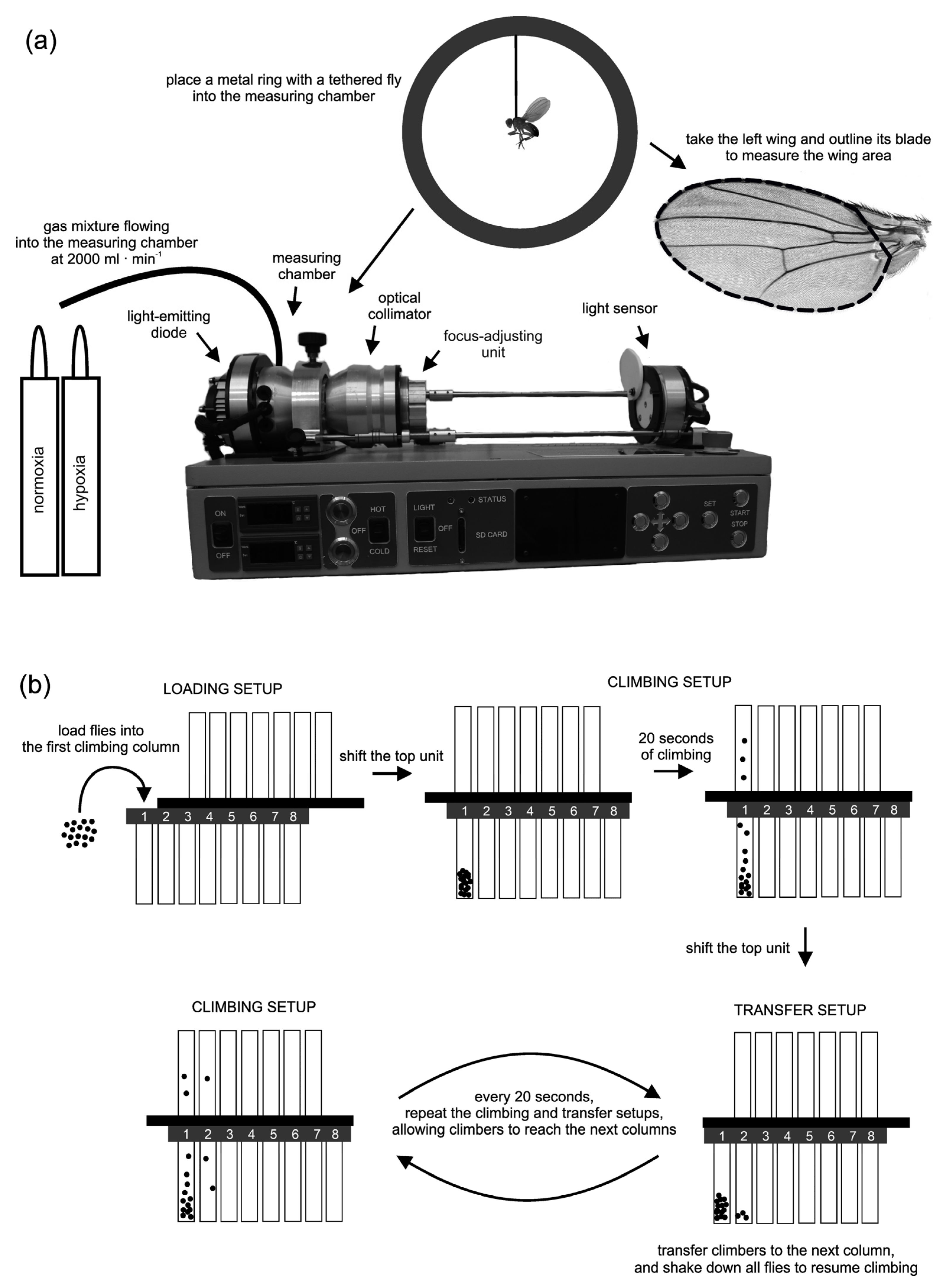 Biology 10 00327 g001 Biology 10 00327 g001