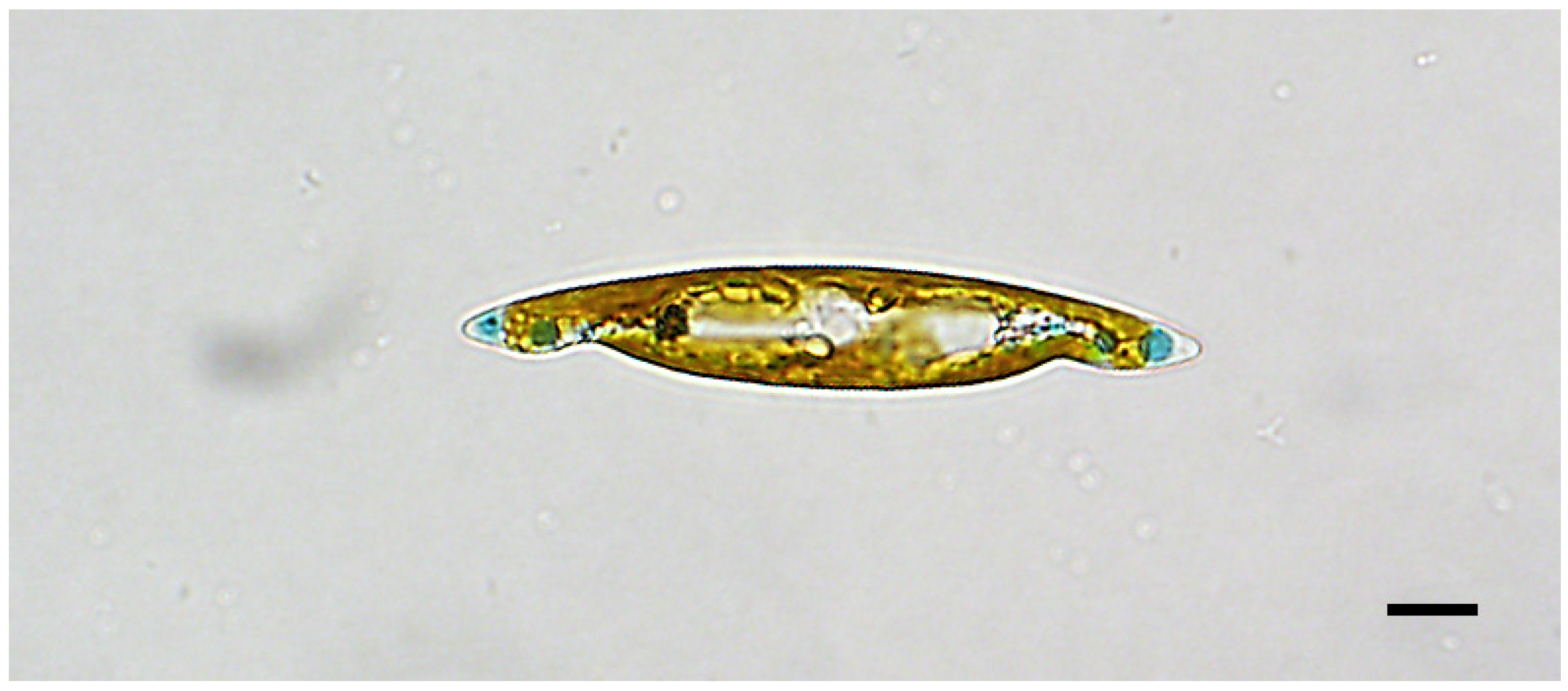 Biology 10 00328 g006 Biology 10 00328 g006