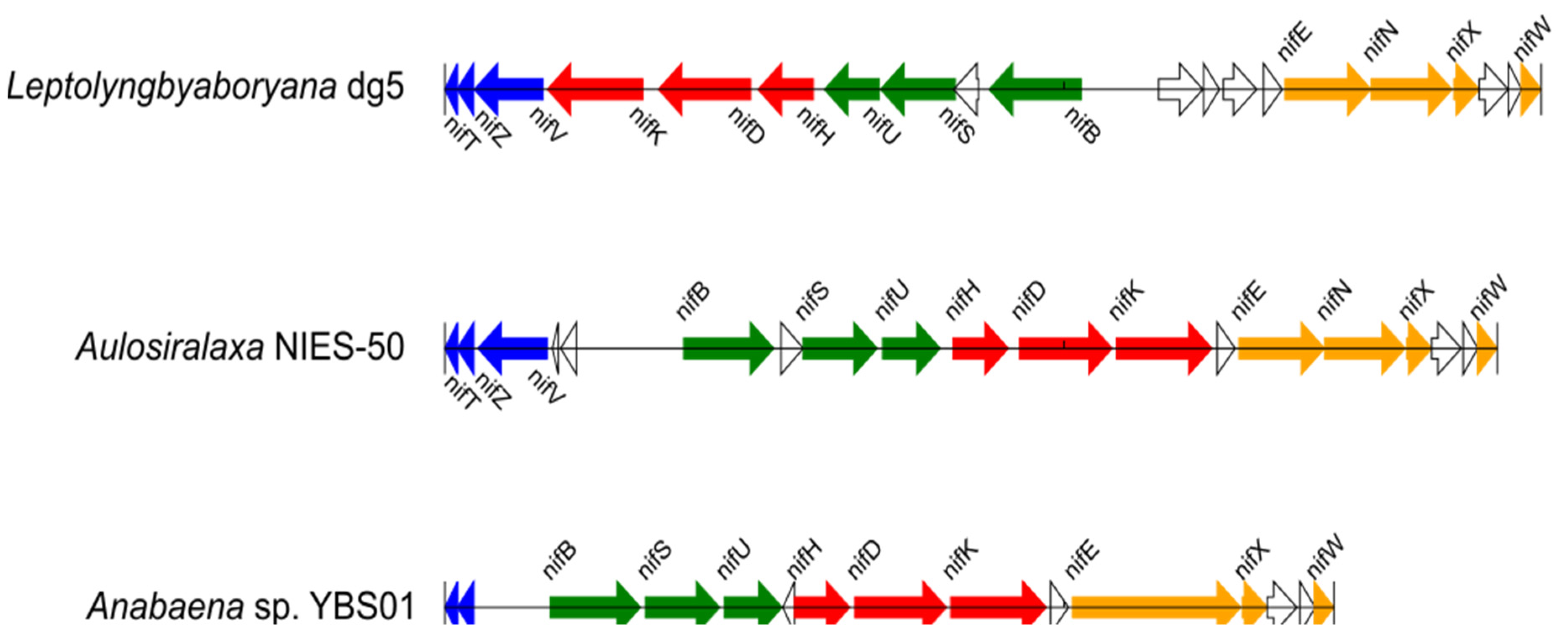 Biology 10 00329 g002