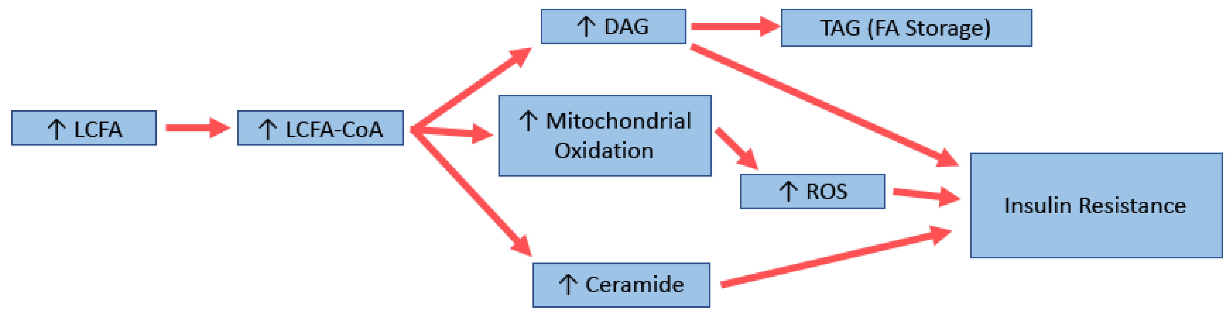 Biology 10 00336 g002 Biology 10 00336 g002