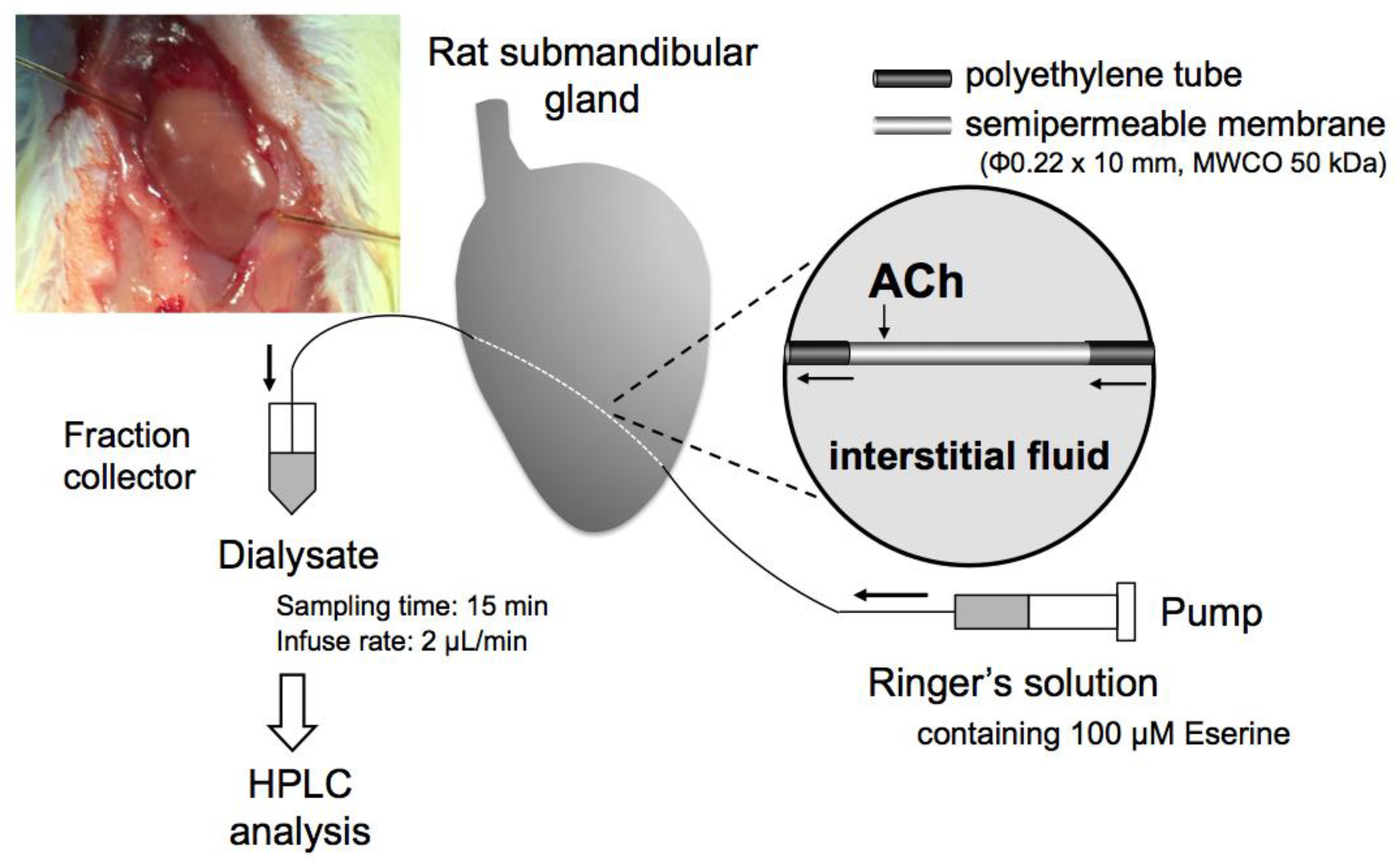 Biology 10 00351 g001