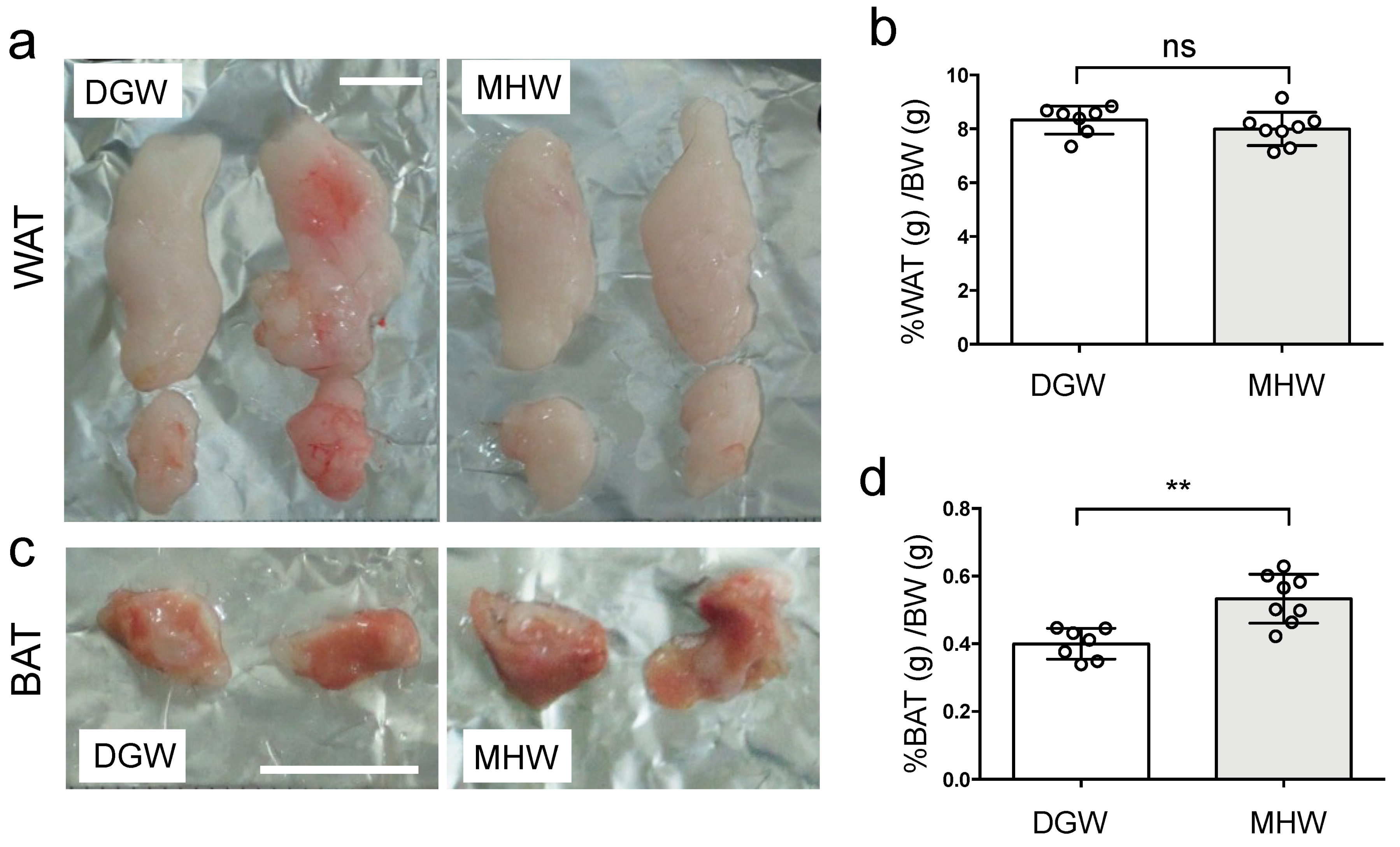 Biology 10 00364 g003a