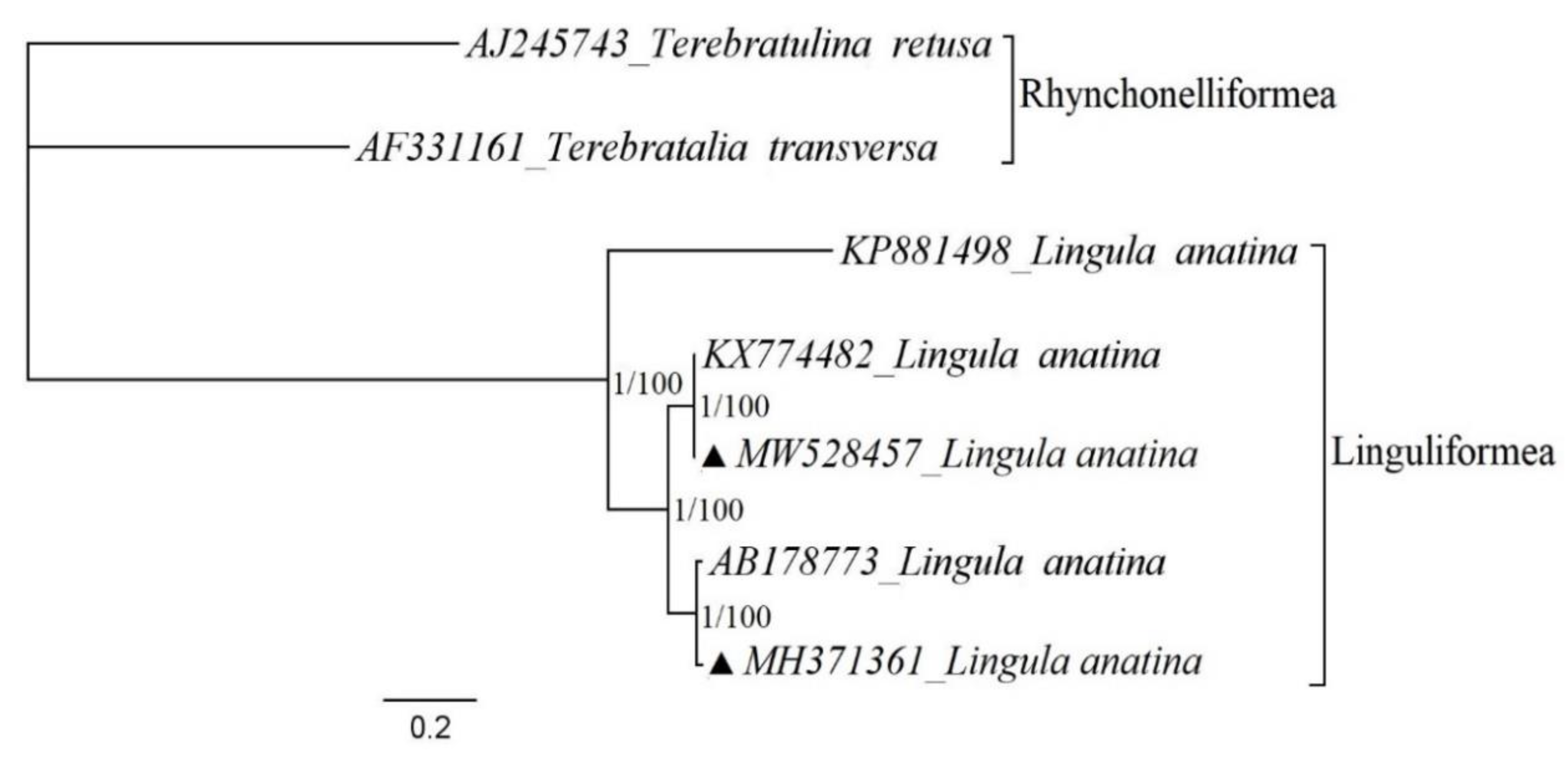 Biology 10 00367 g003