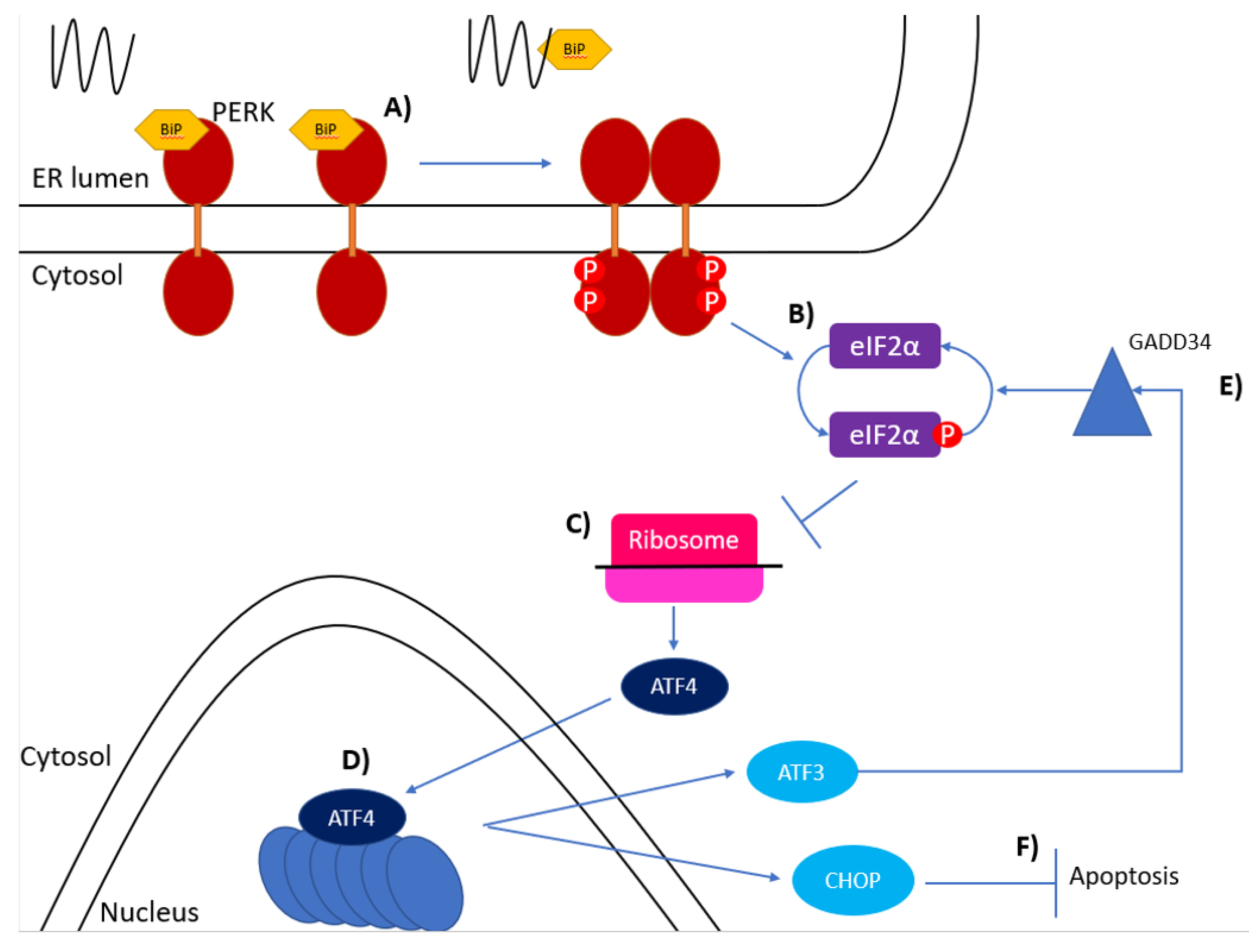 Biology 10 00384 g002 Biology 10 00384 g002