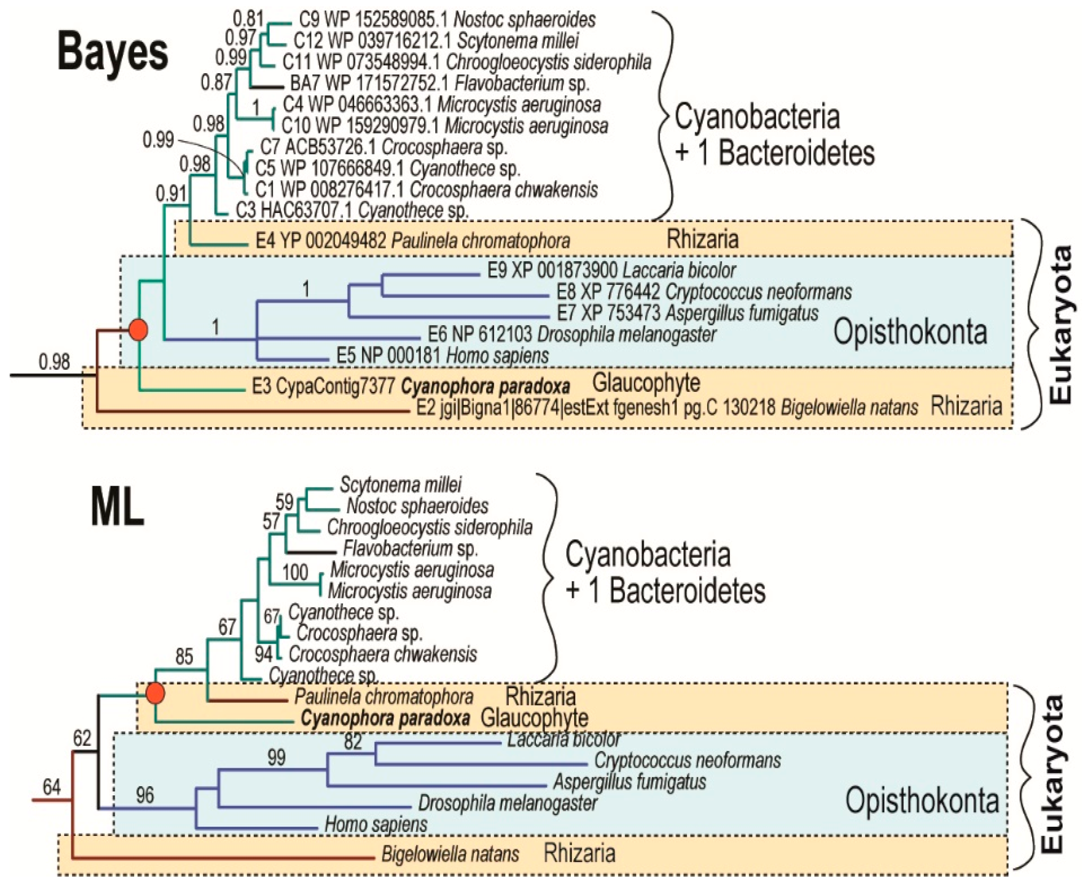 Biology 10 00386 g003
