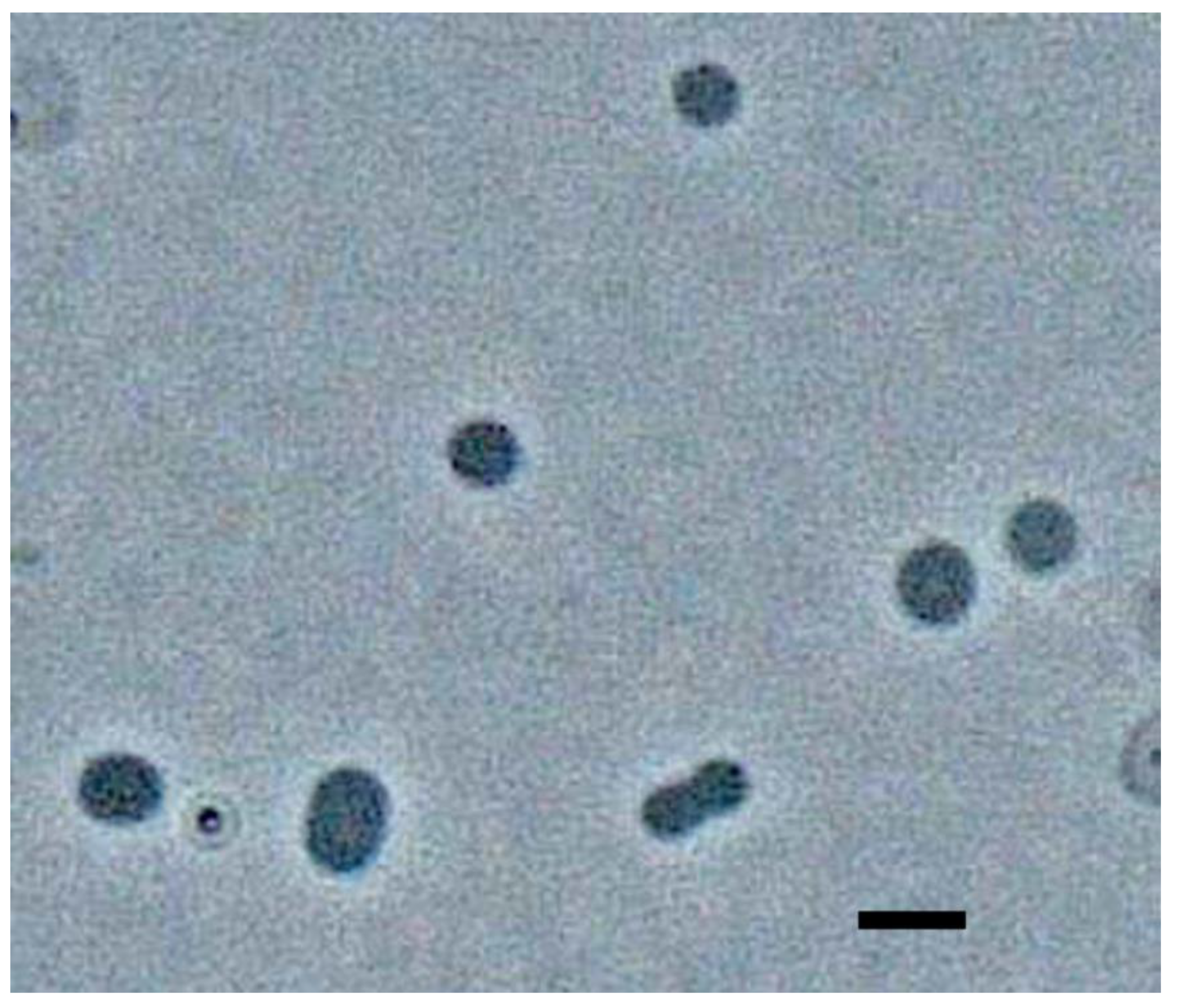 Biology 10 00387 g001
