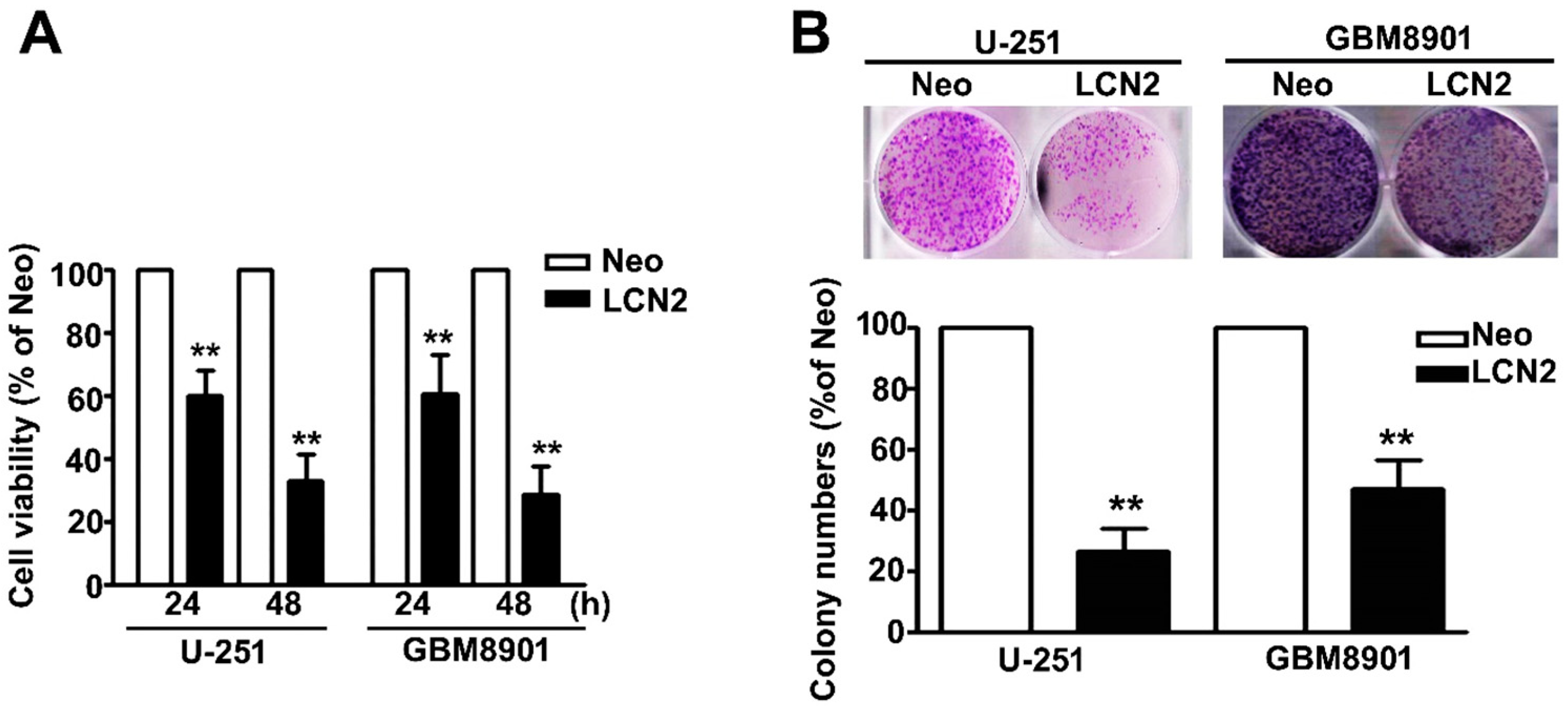 Biology 10 00390 g002 Biology 10 00390 g002