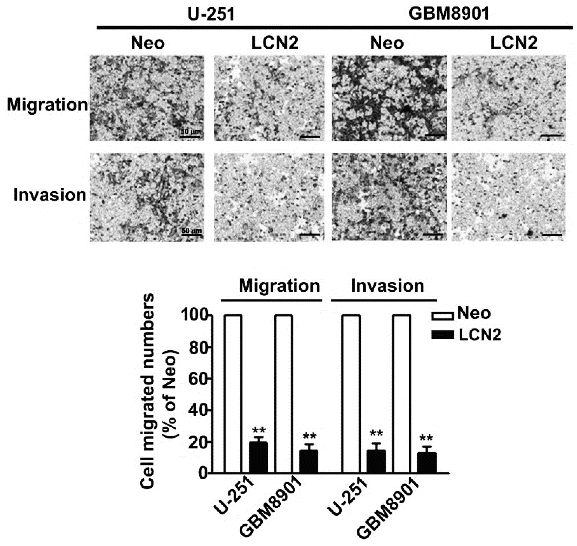 Biology 10 00390 g003 Biology 10 00390 g003