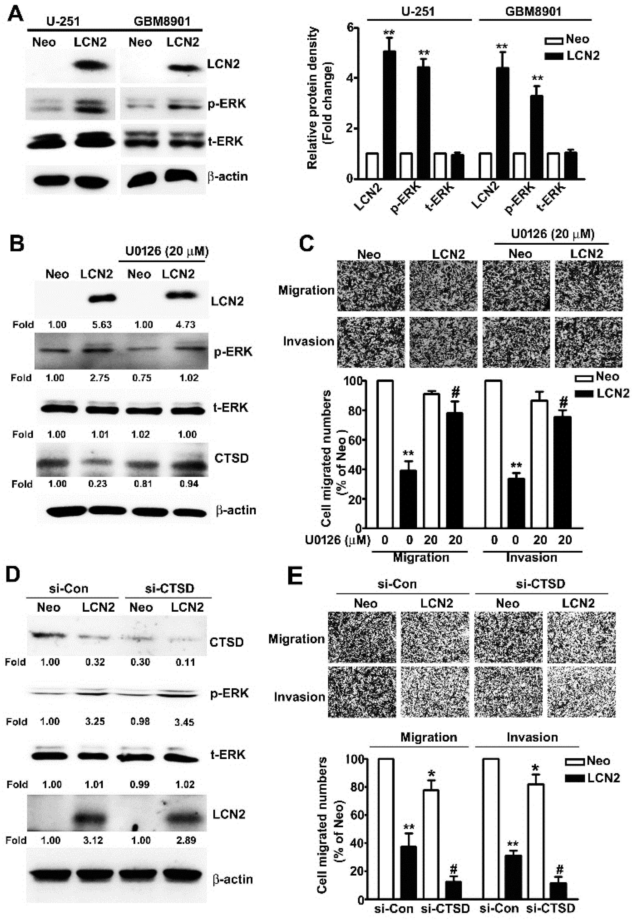Biology 10 00390 g005 Biology 10 00390 g005