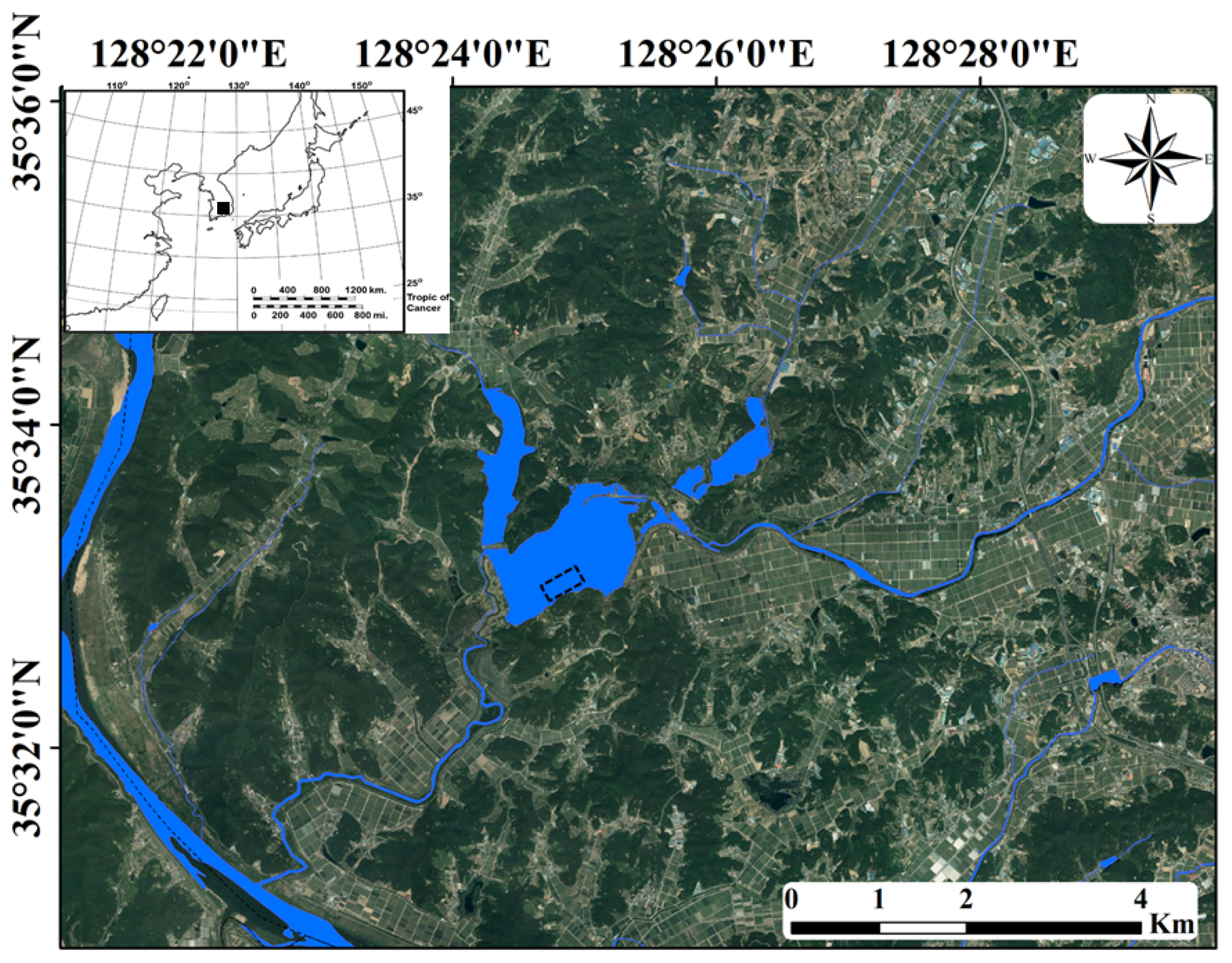 Biology 10 00393 g001
