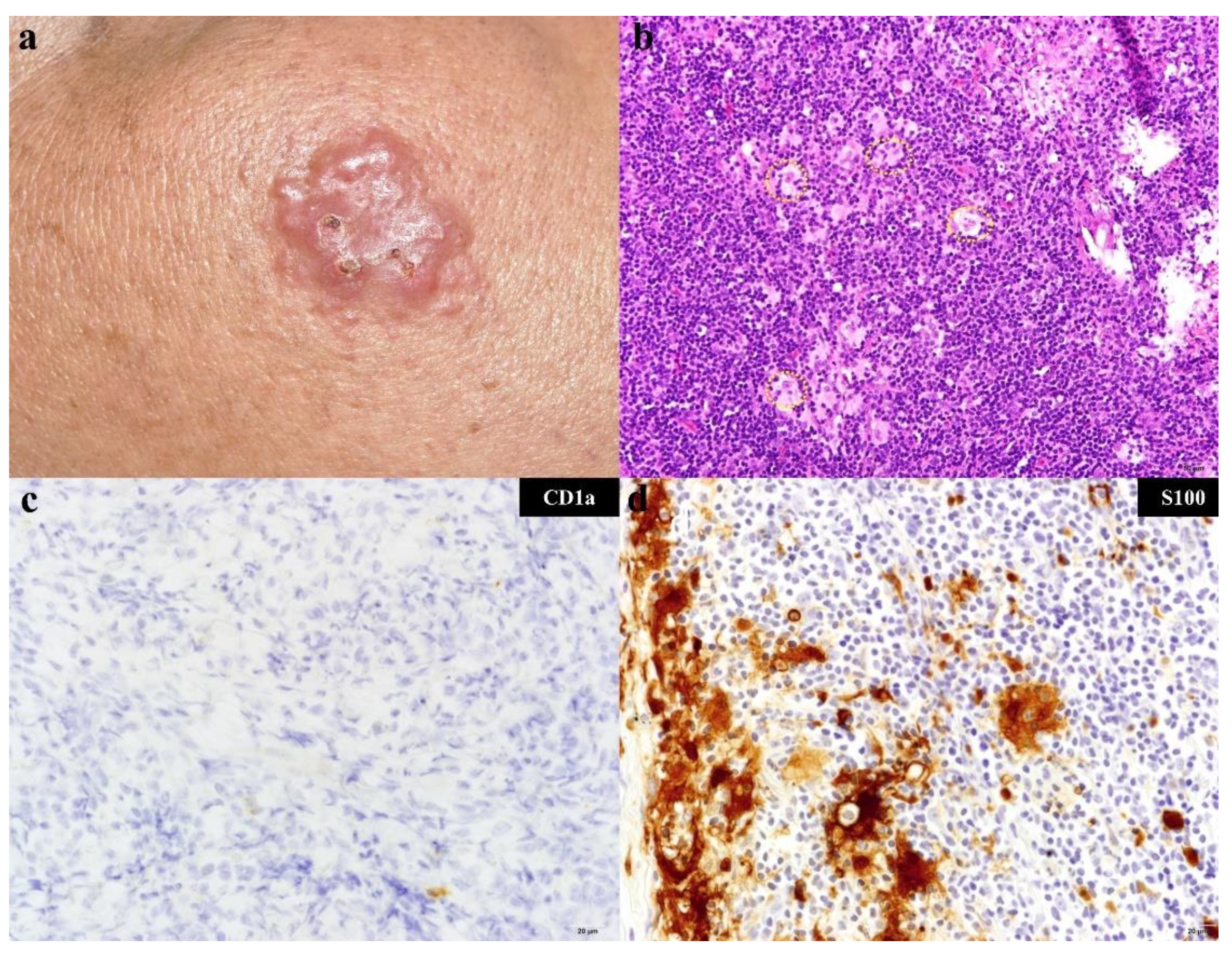 Biology 10 00396 g001 Biology 10 00396 g001