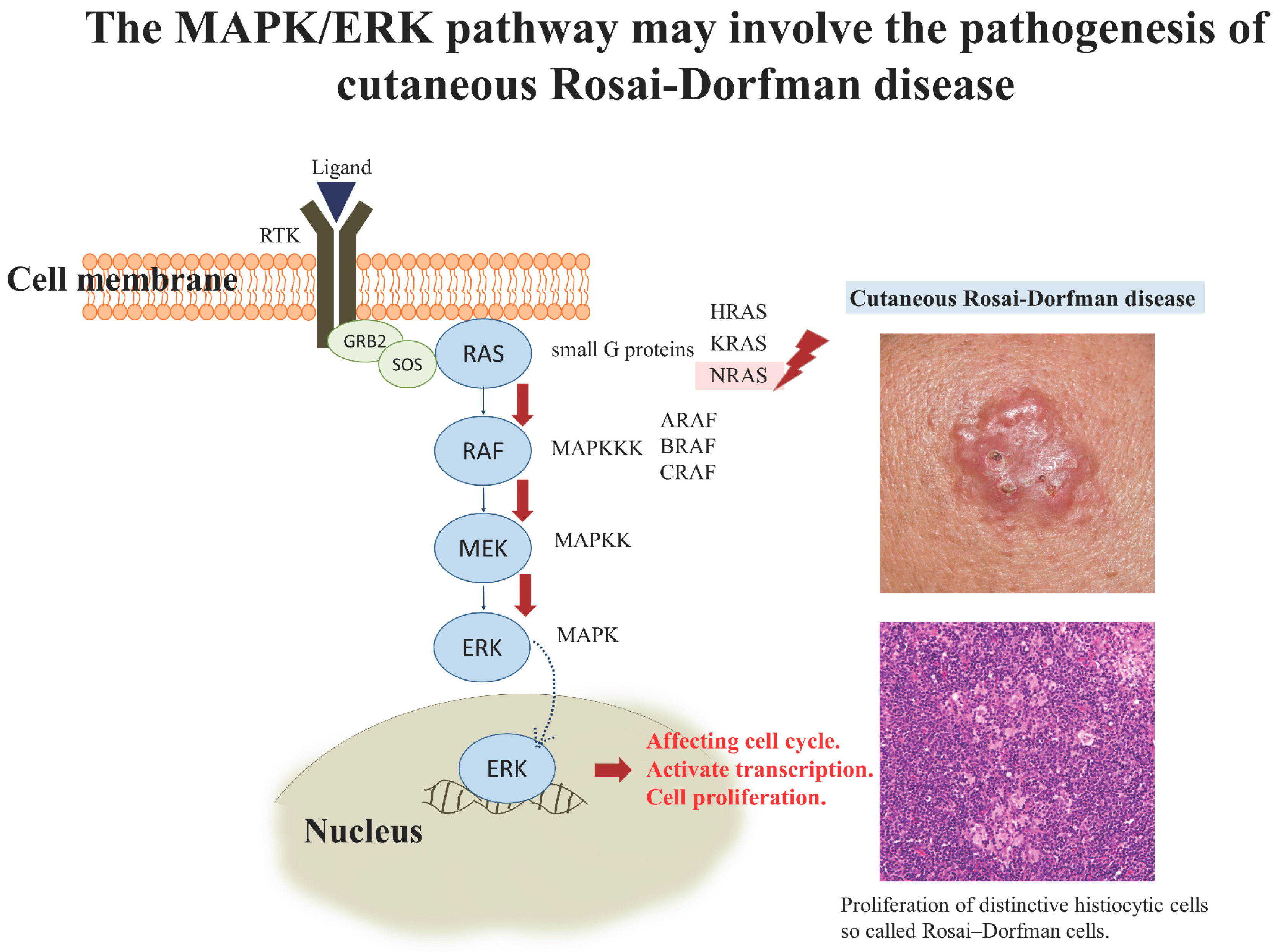 Biology 10 00396 g003 Biology 10 00396 g003