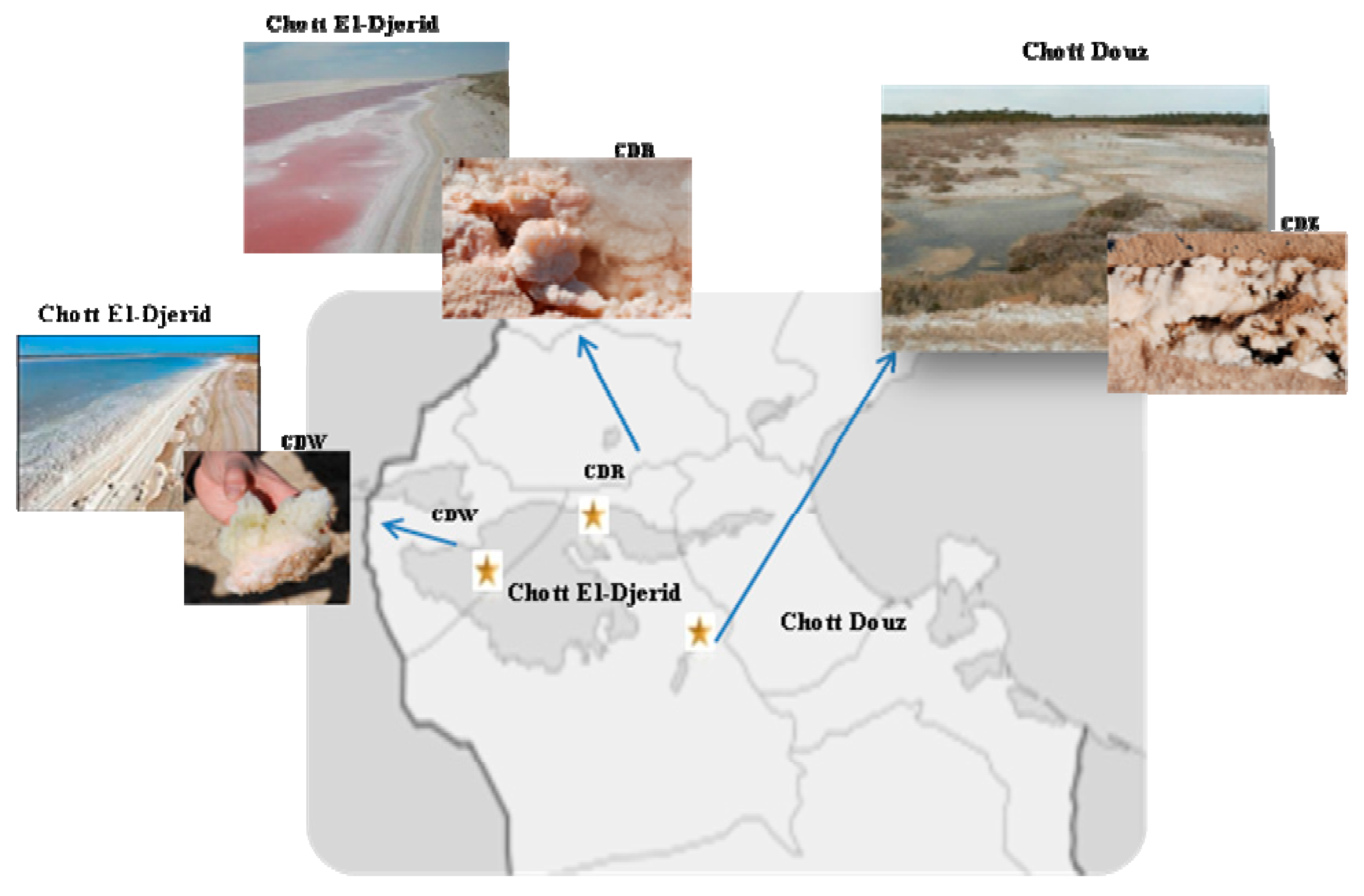 Biology 10 00397 g001 Biology 10 00397 g001