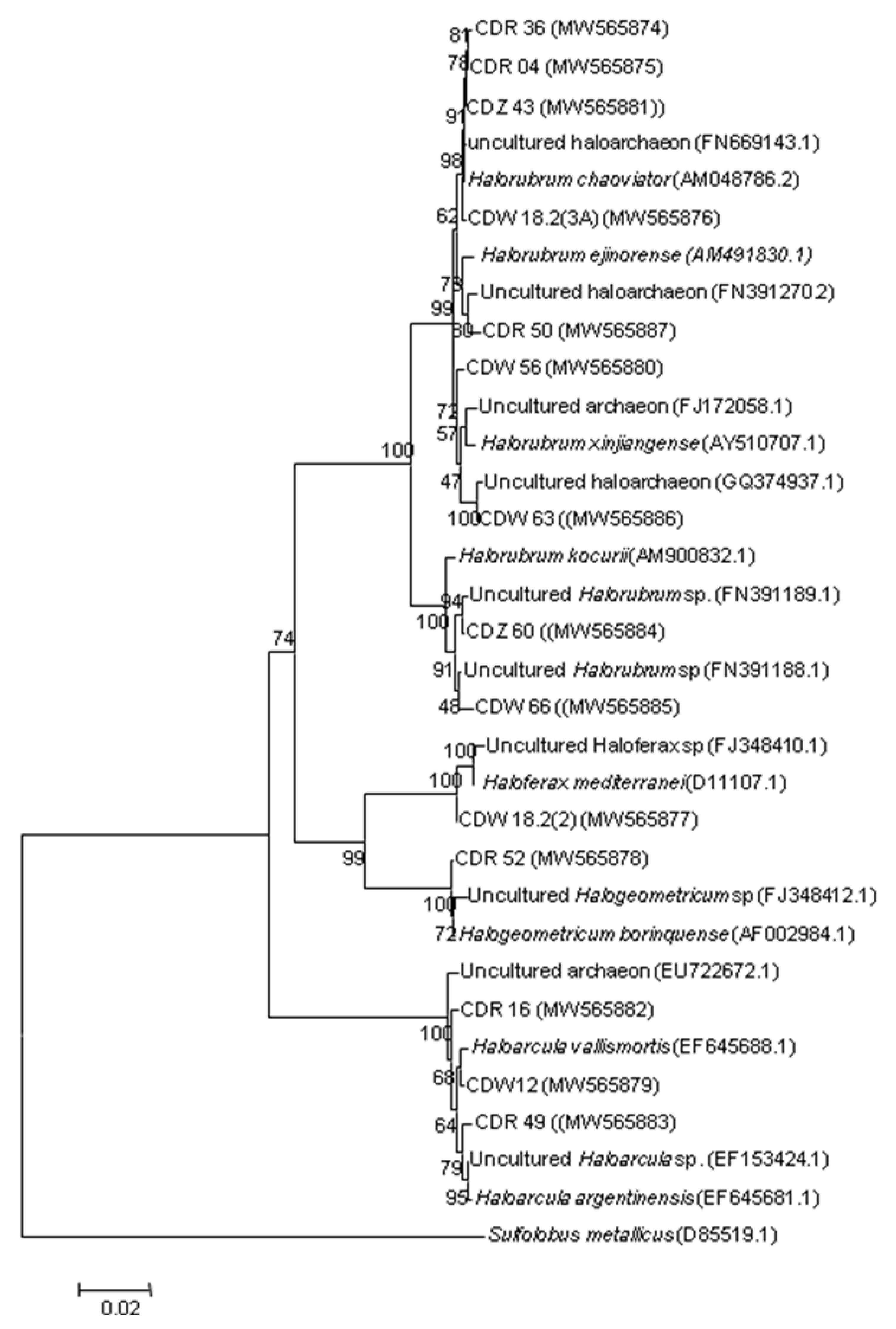 Biology 10 00397 g002 Biology 10 00397 g002
