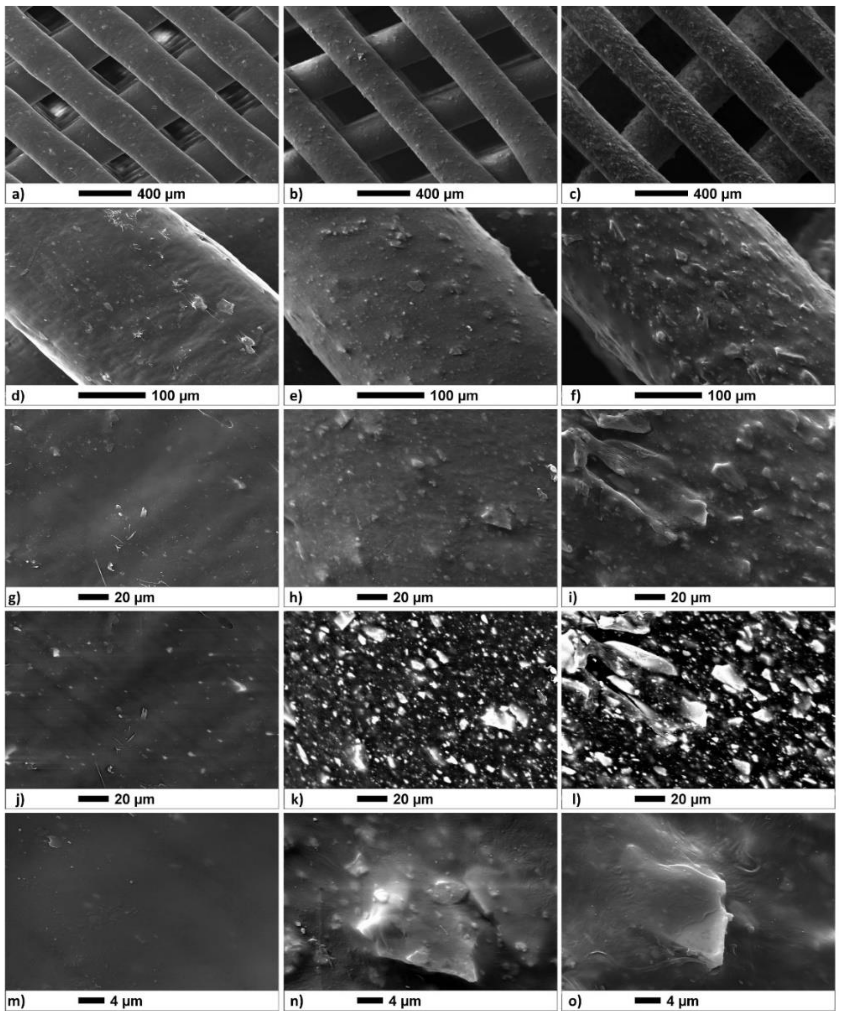 Biology 10 00398 g002