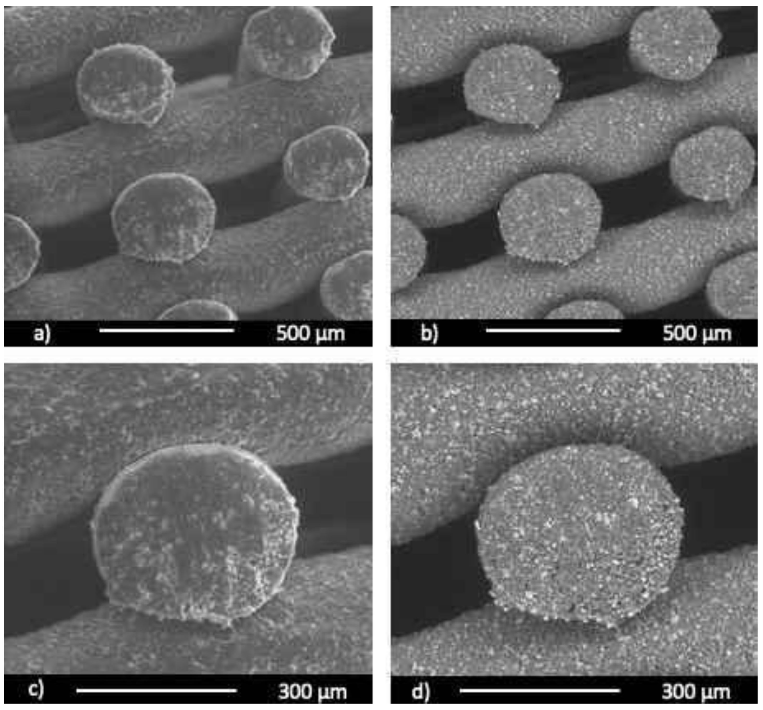 Biology 10 00398 g003