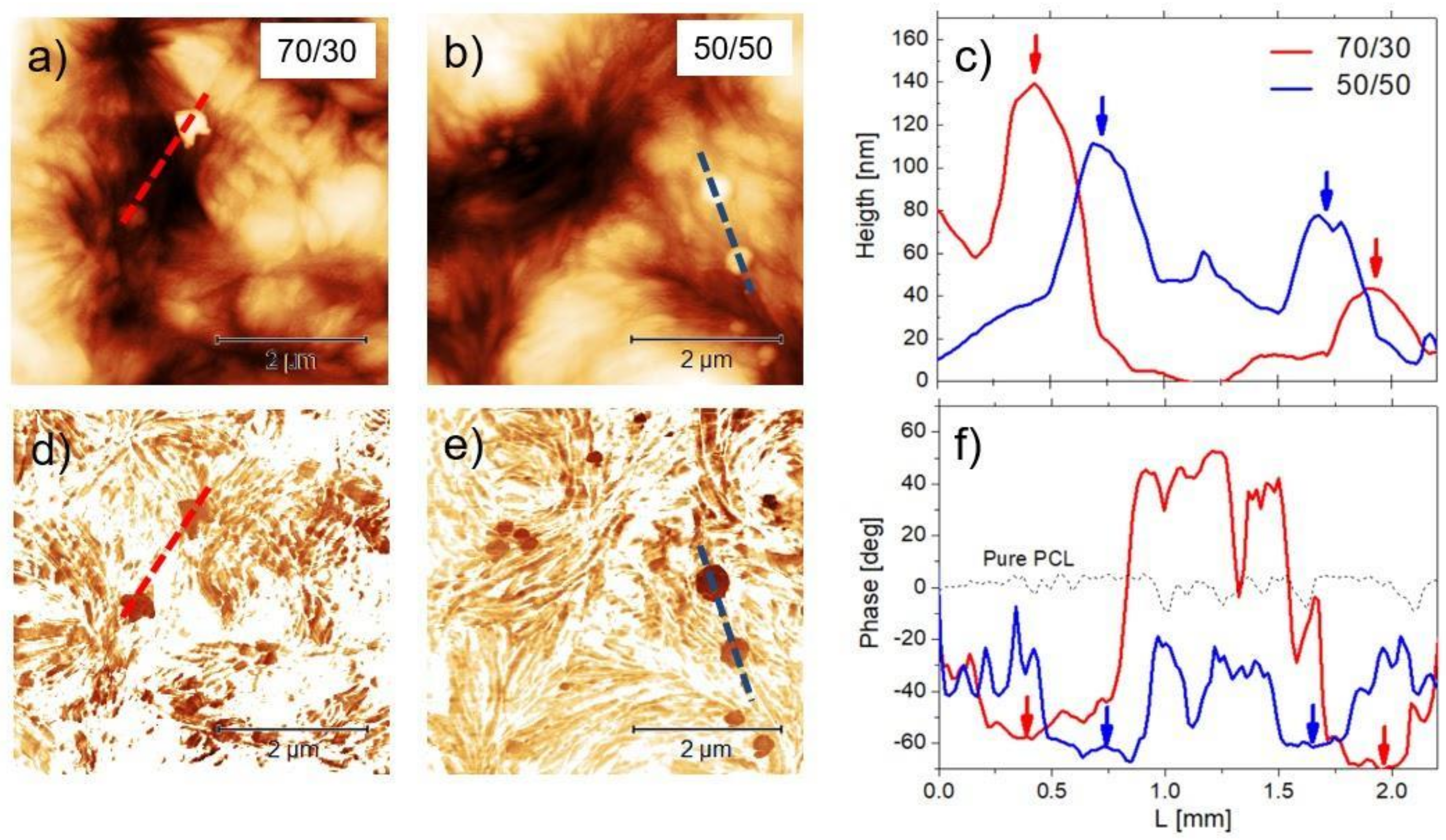 Biology 10 00398 g004