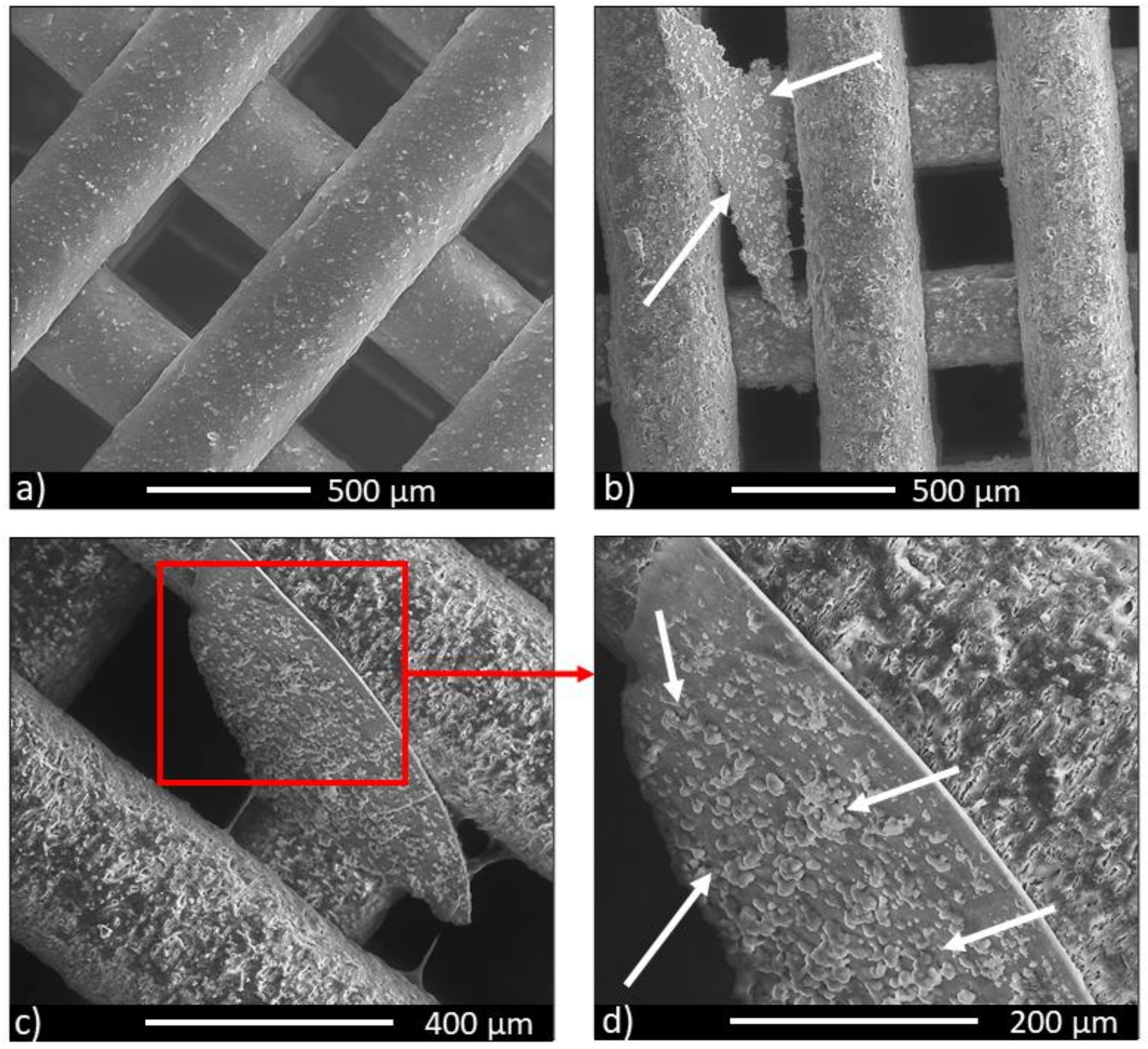 Biology 10 00398 g007