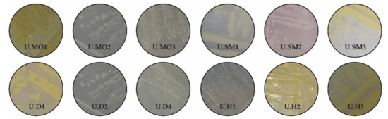 Biology 10 00409 g0a1