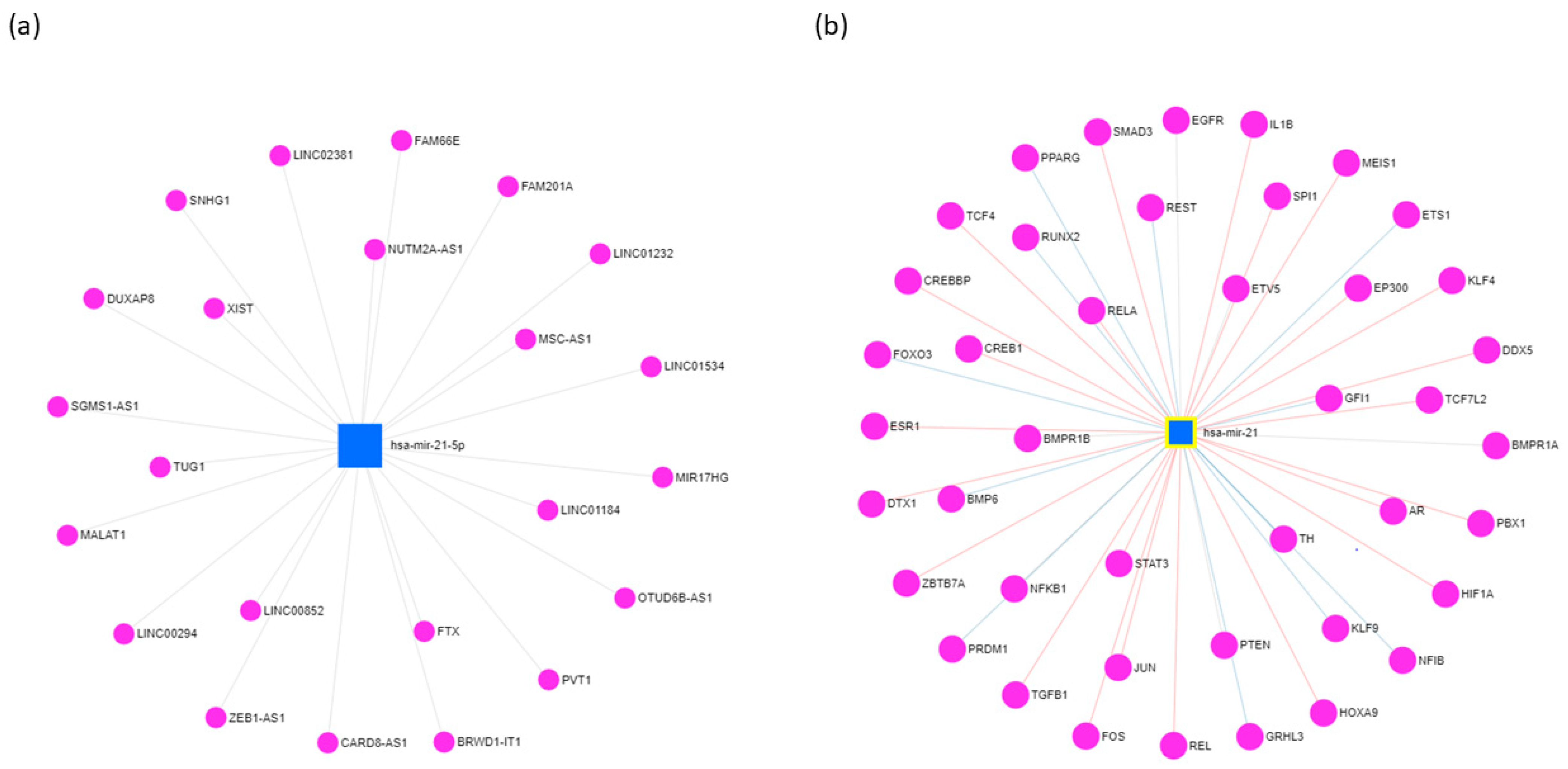 Biology 10 00417 g001