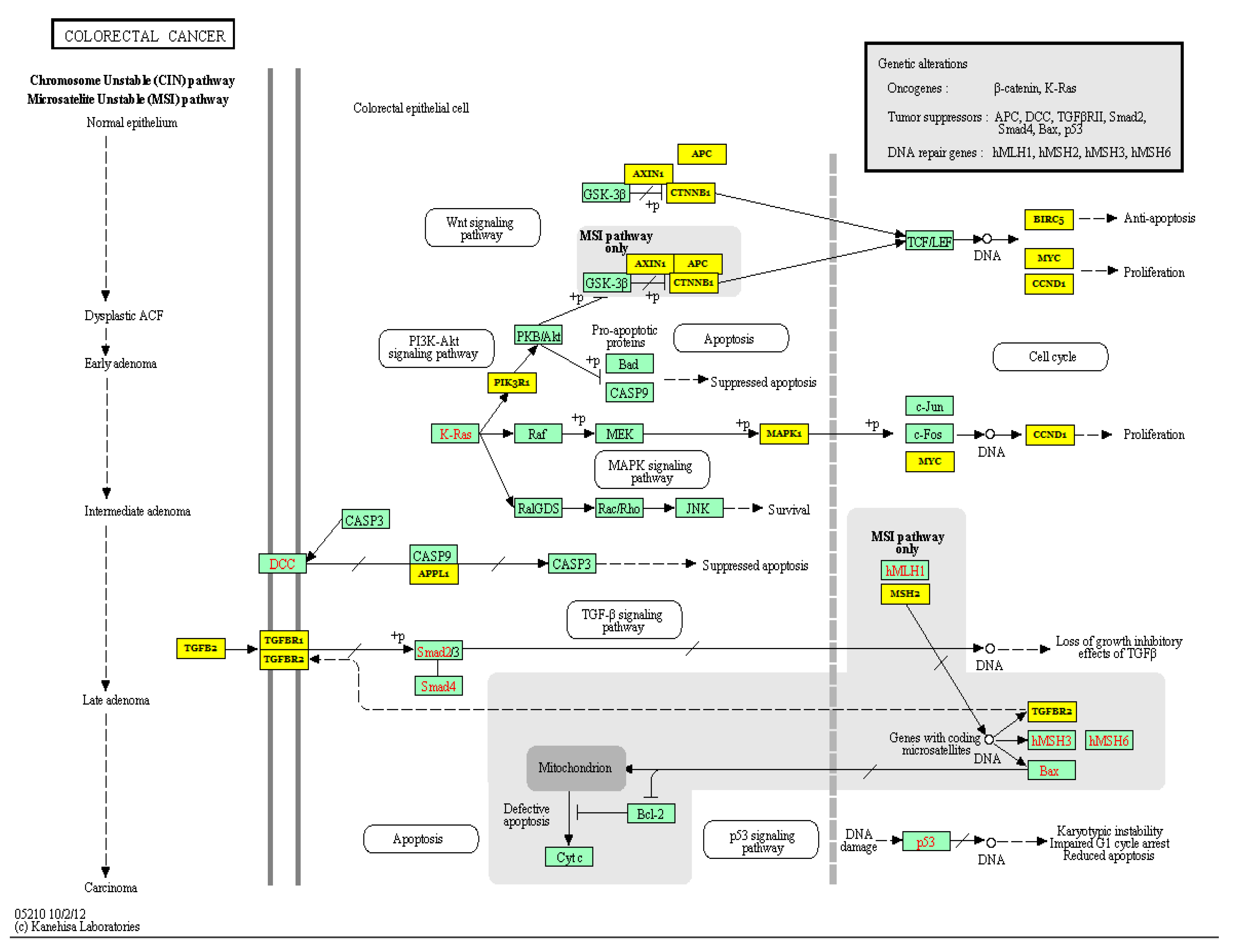 Biology 10 00417 g004