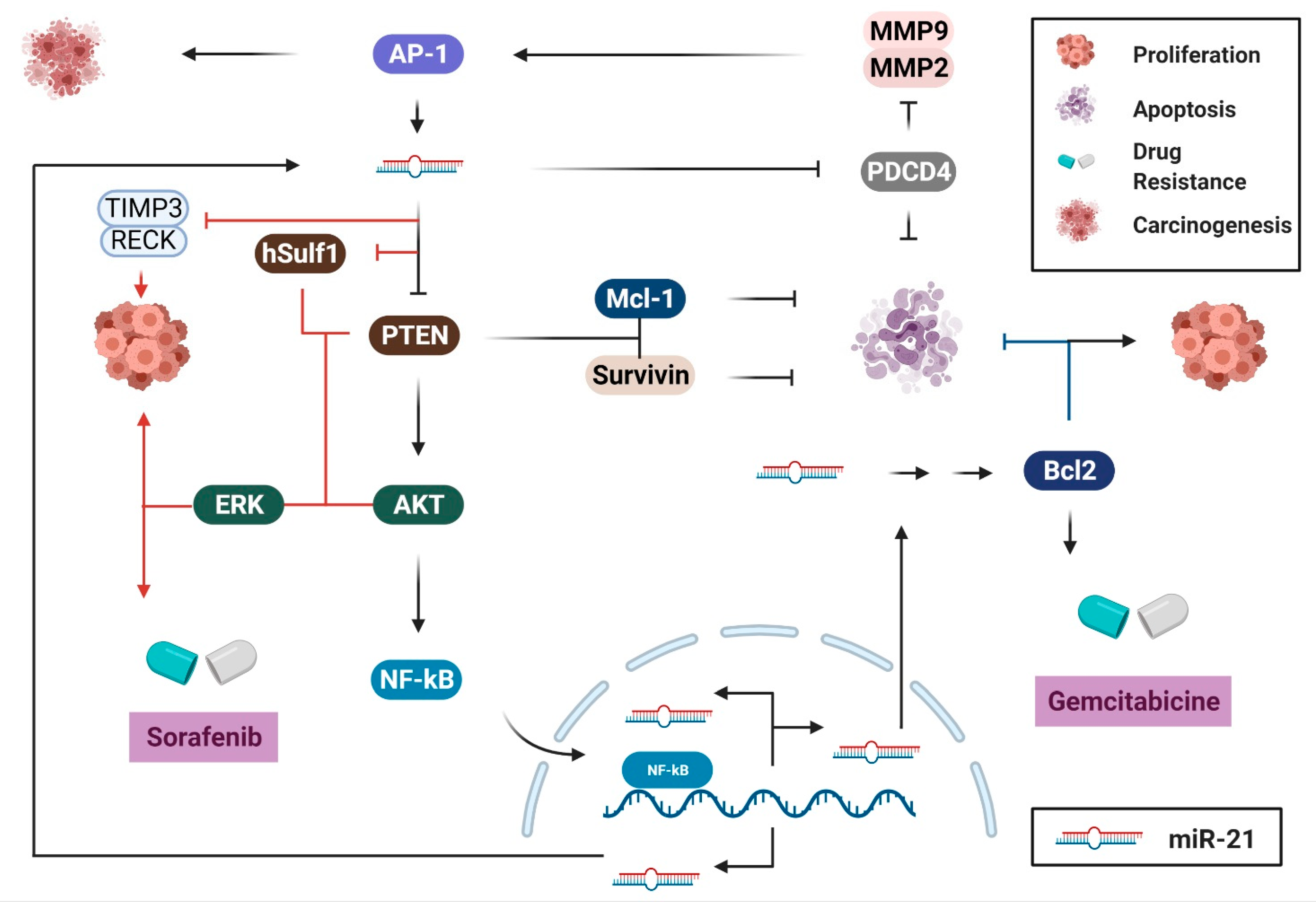 Biology 10 00417 g005