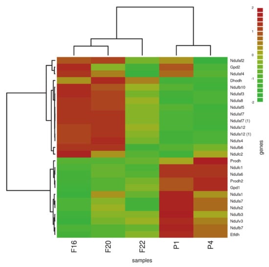 Biology 10 00418 g0a2