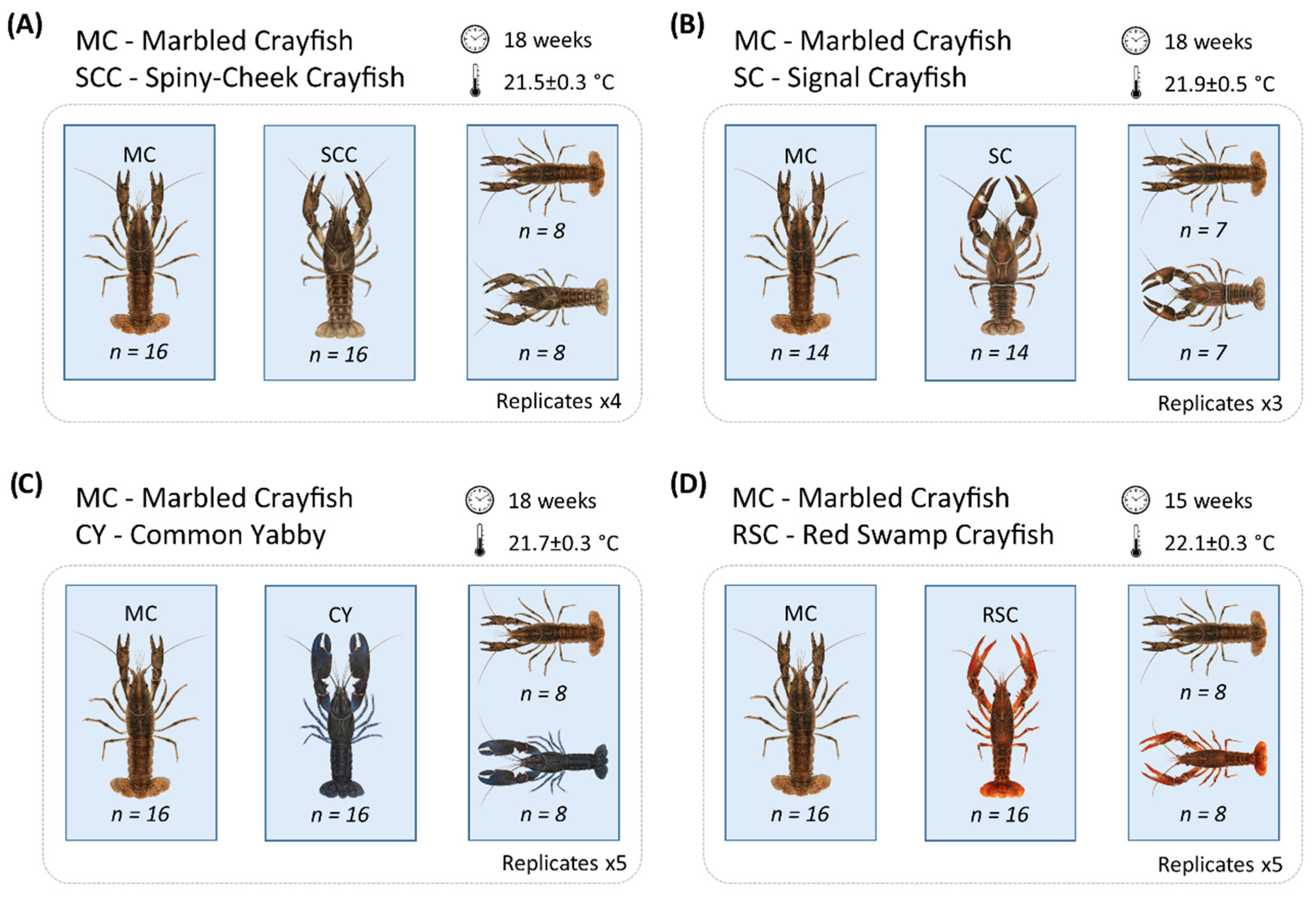 Biology 10 00422 g001